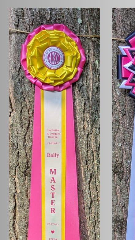 Style B: Ready to Ship Vivid Signature Award Rosette - 6.5" x 20"
