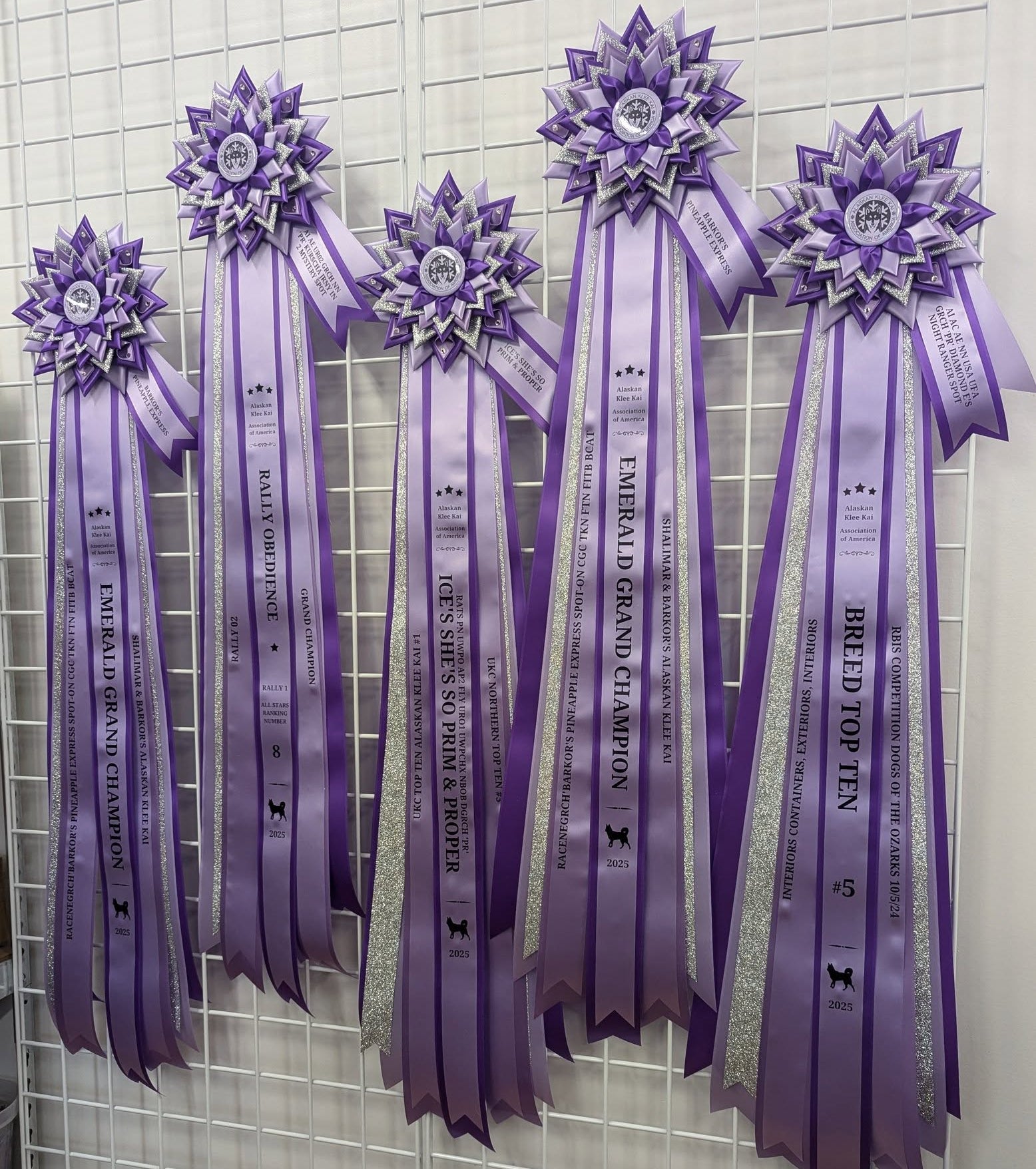 ROSETTE - "West" - Studio Finished Rosette - 9" x 38" - Extra Long, Extra Shiny