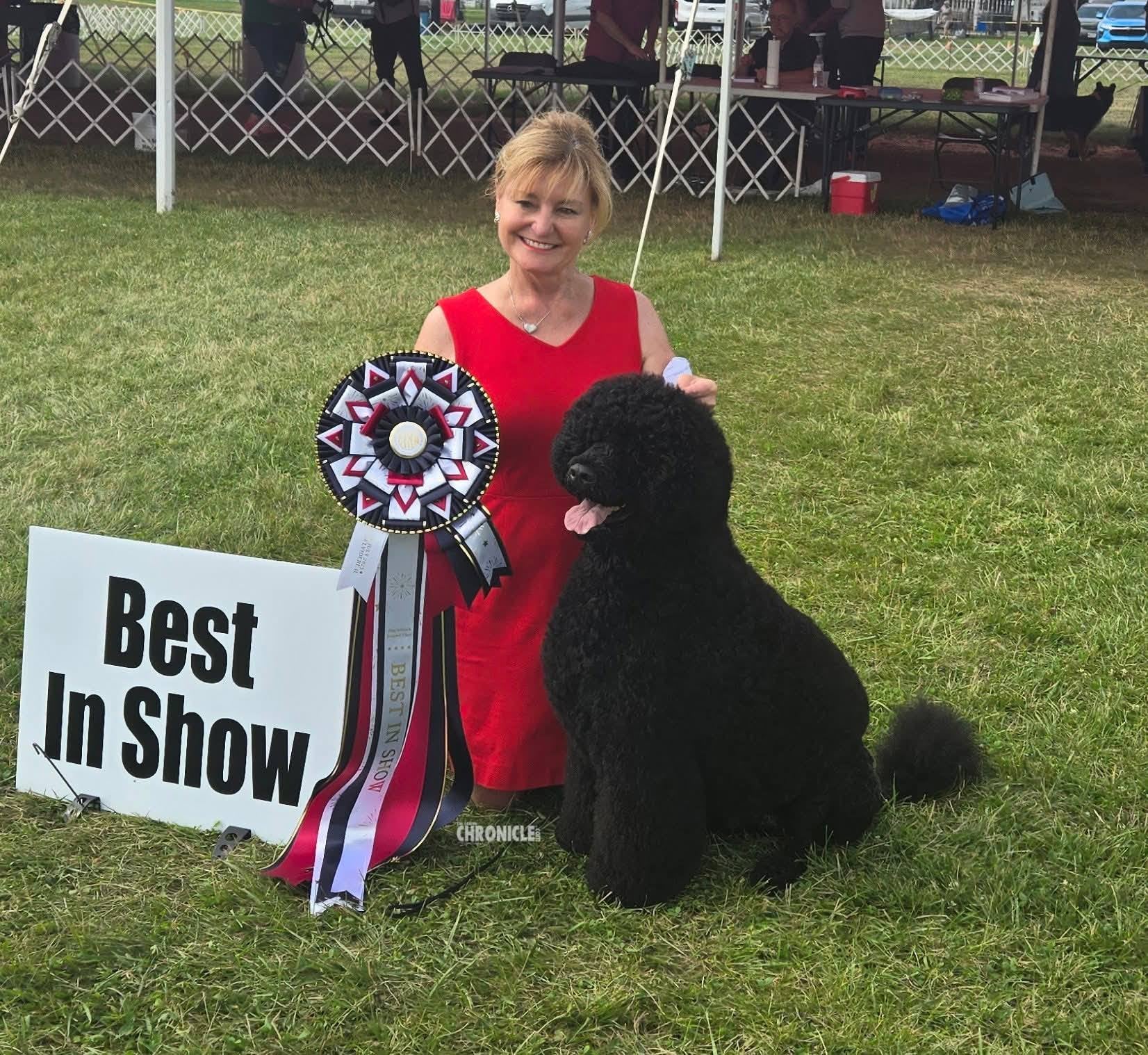 ROSETTE - "Brandi" - Studio Finished Rosette - 12" x 36"