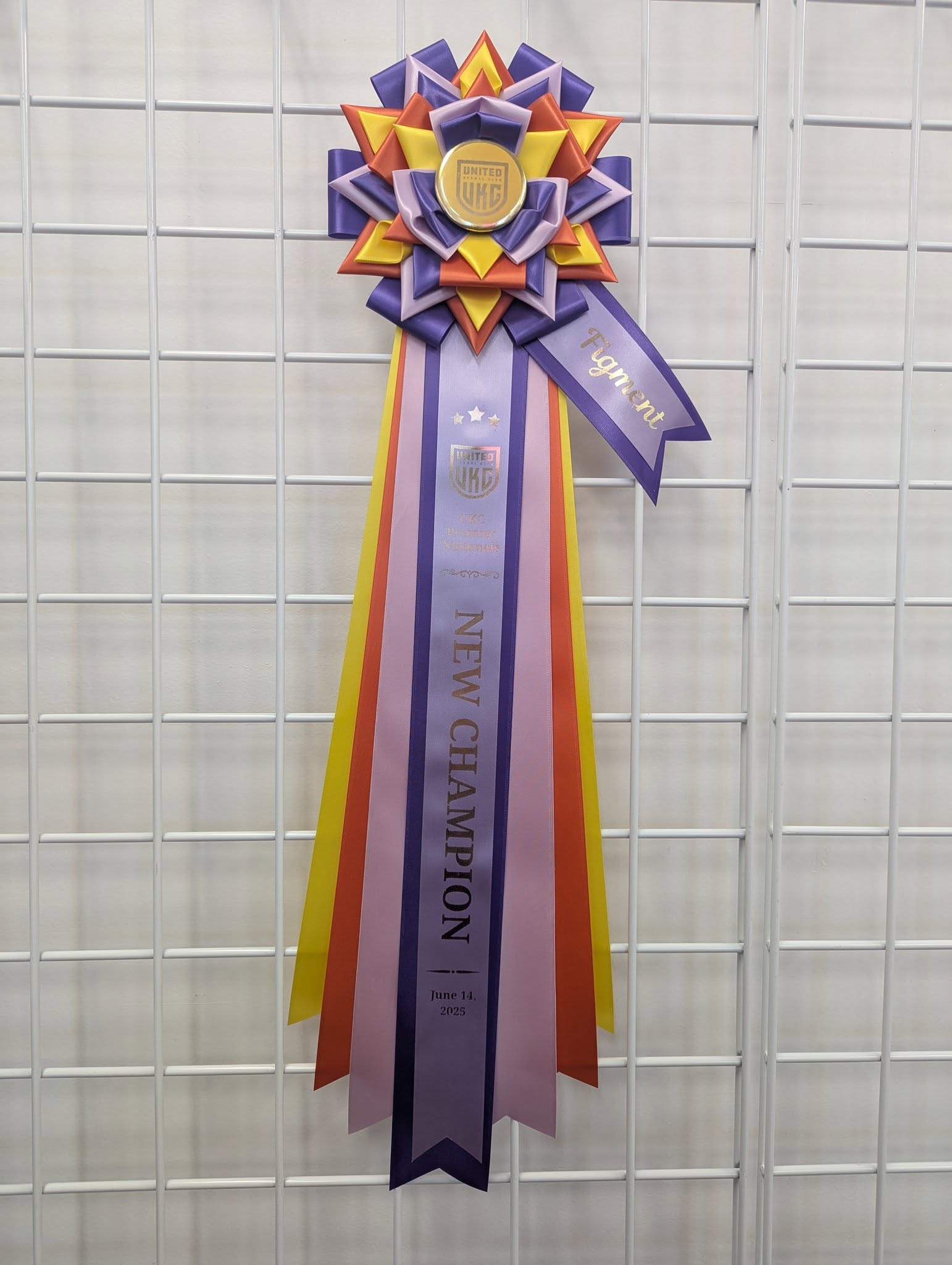 FEATURED: ROSETTE - "Fable" - Vivid Signature Style - Studio Finished Rosette - Various sizes