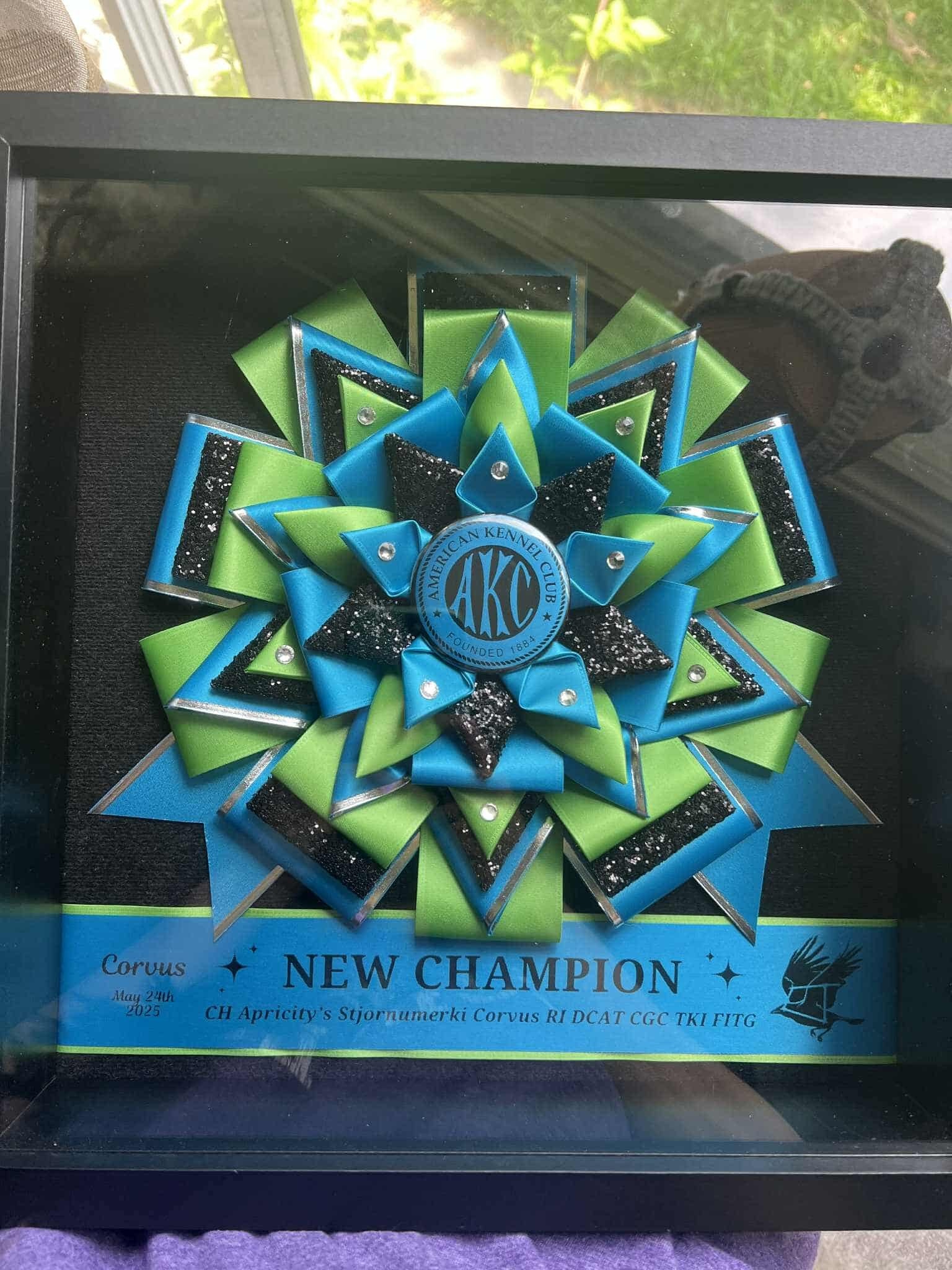 ROSETTE - "Luca" - Studio Finished Shadowbox Rosette - Approximately 8.5"