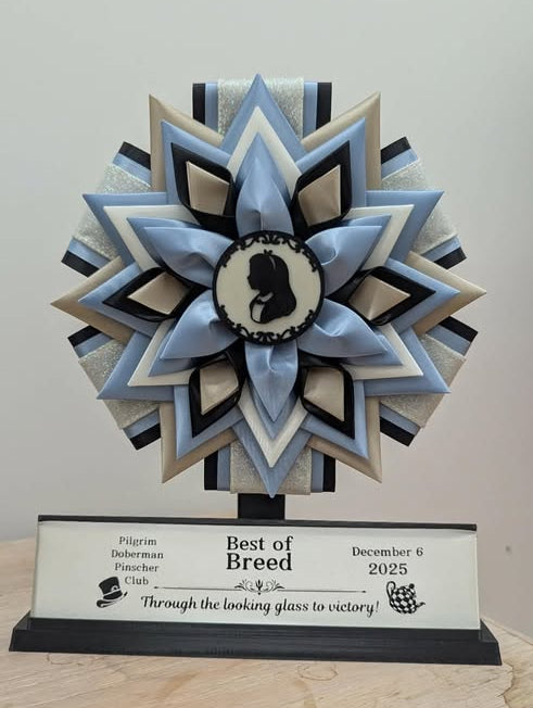 DISPLAY - Vivid Exclusive Rosette Display Stand – A Shadowbox Alternative