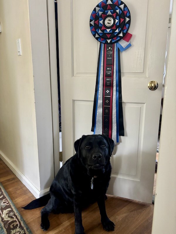 ROSETTE - "Annie" - Studio Finished Extra Long Journey Rosette - 10.5" x 35"