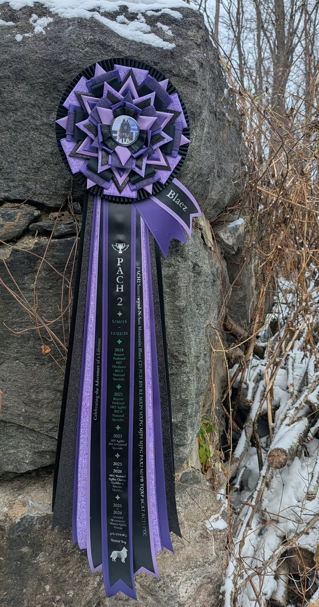 FEATURED: ROSETTE - "Fable" - Vivid Signature Style - Studio Finished Rosette - Various sizes