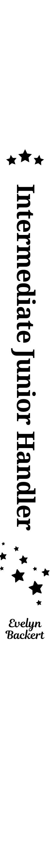 STREAMER - Custom Foil Printed Streamer – Designed for Rosettes