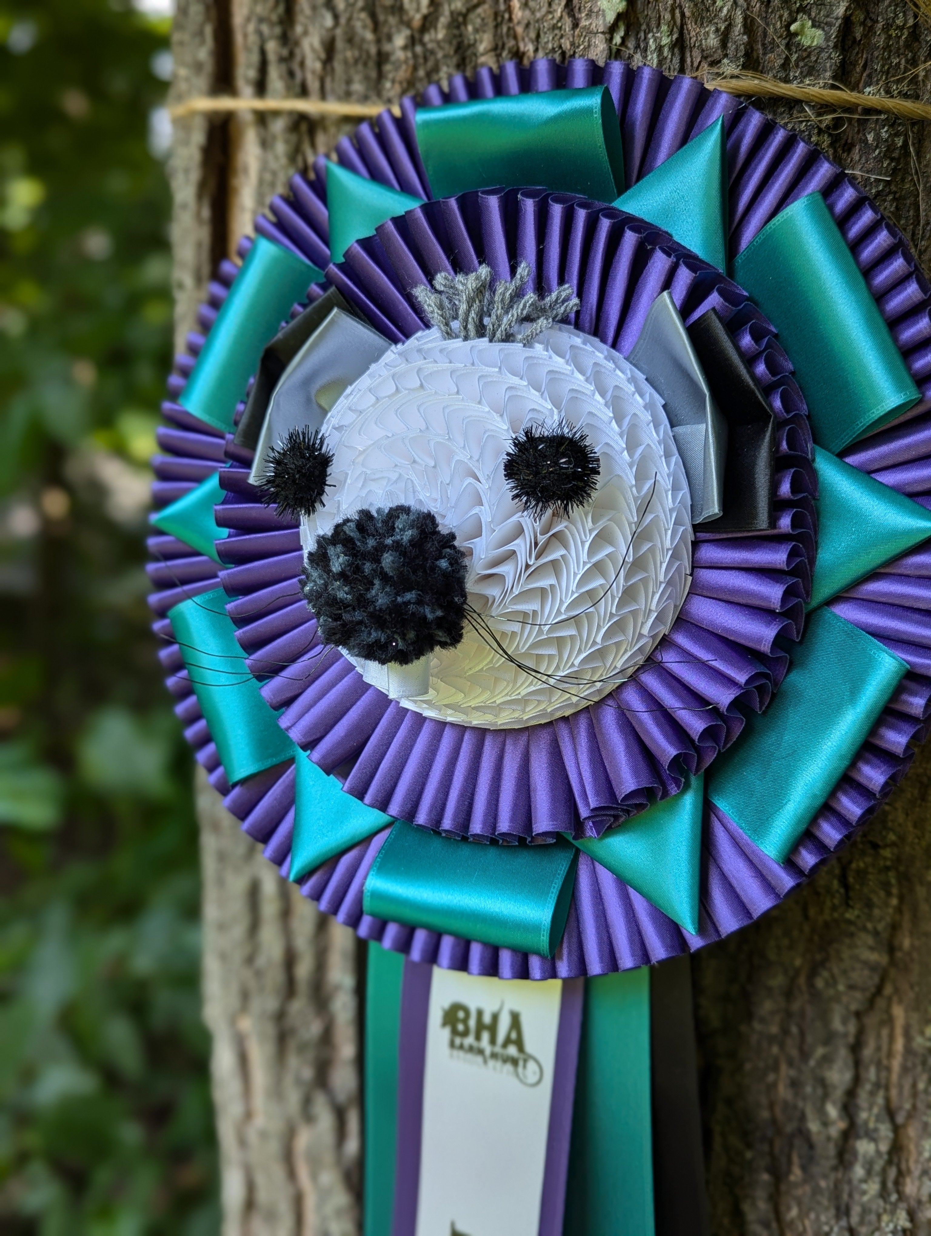 ROSETTE - "CARICITURE" - Studio Finished Rosette - Appx 10" x 28"