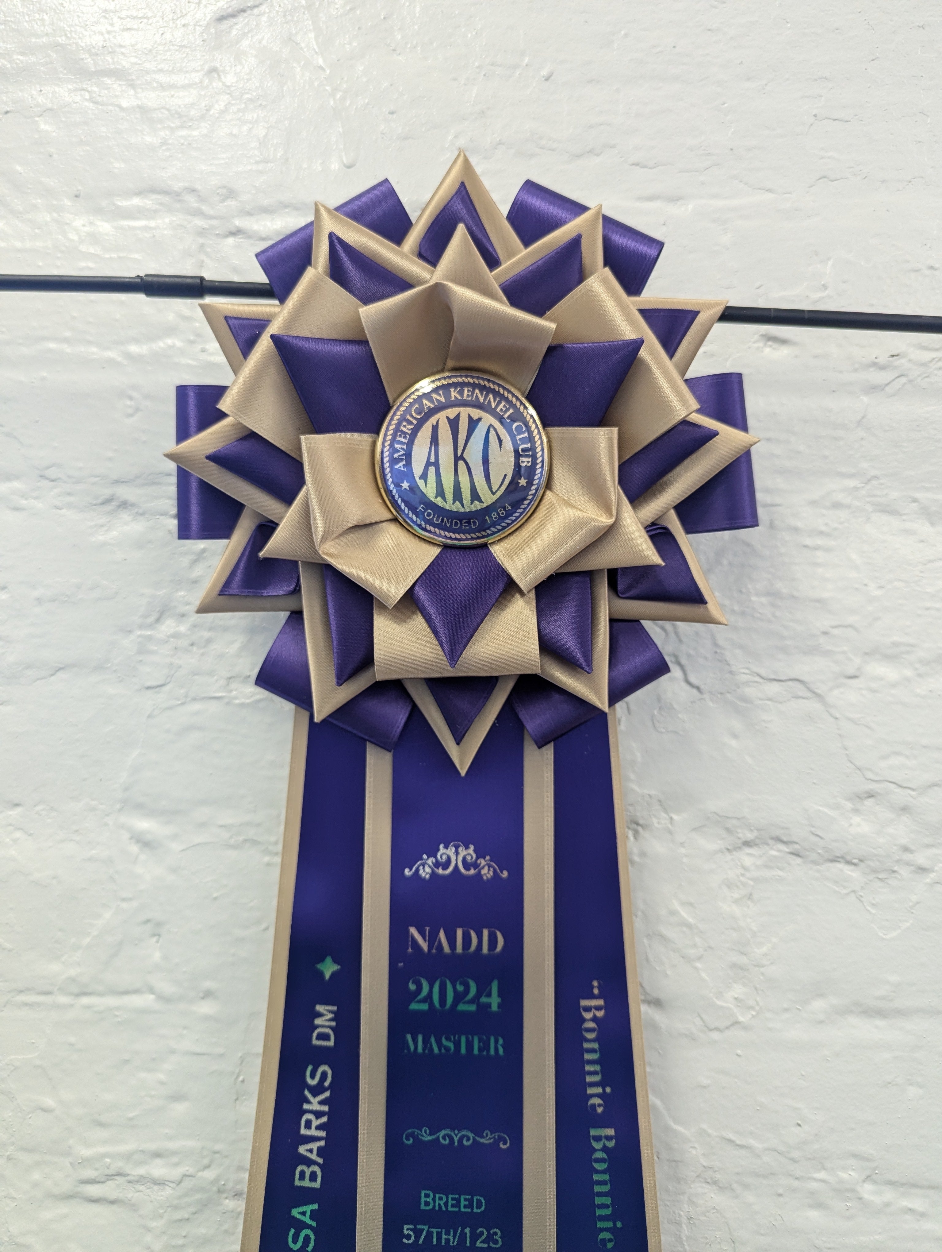 FEATURED: ROSETTE - "Fable" - Vivid Signature Style - Studio Finished Rosette - Various sizes