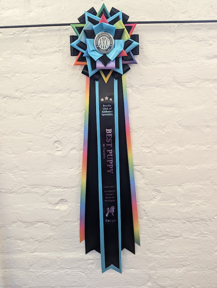 RIBBON - Pre-Cut 4" length - Rainbow Color Rosette Ribbon