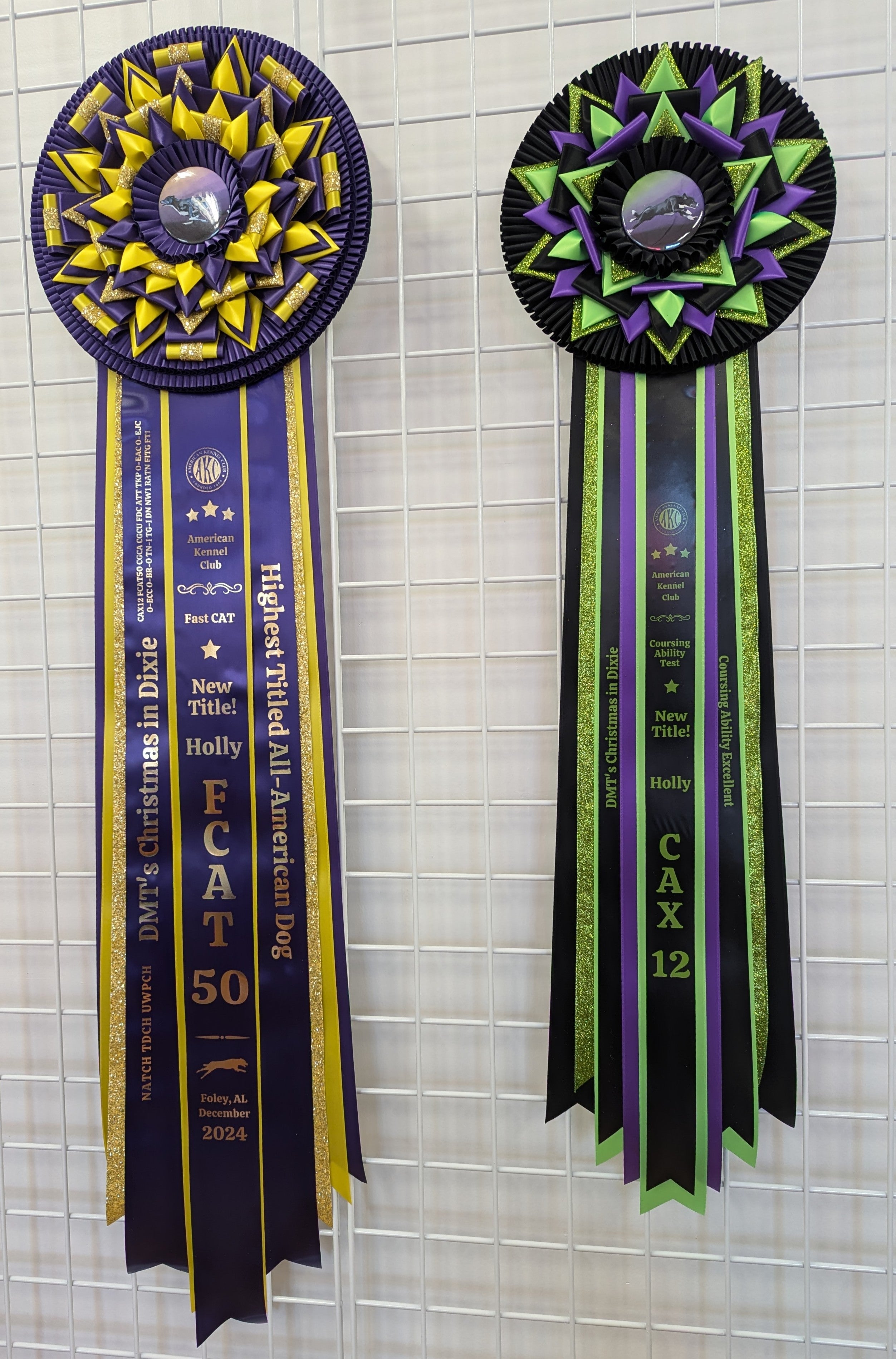 Custom Award Rosette Deposit - READ ENTIRE DESCRIPTION