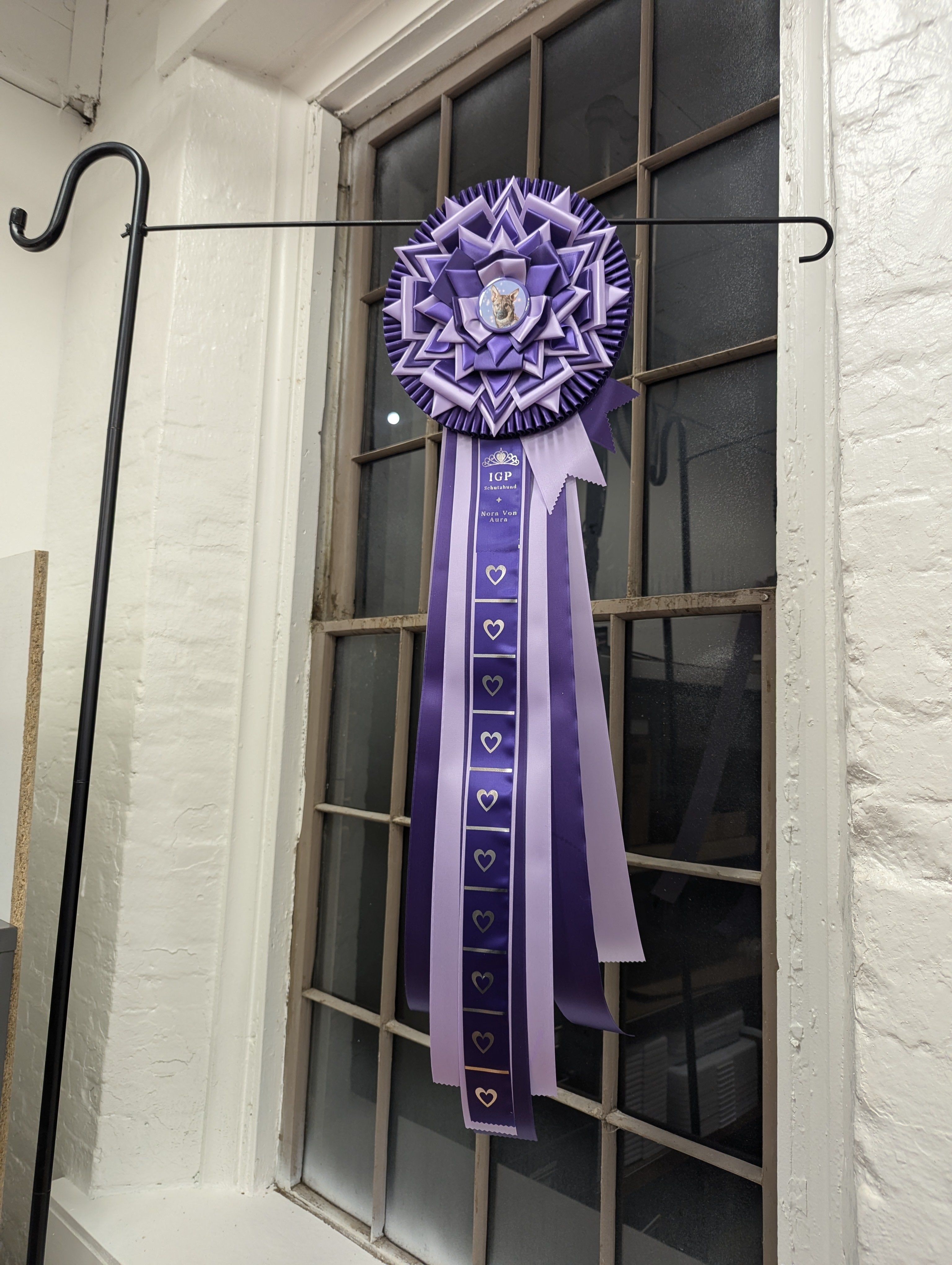 Custom Award Rosette Deposit - READ ENTIRE DESCRIPTION