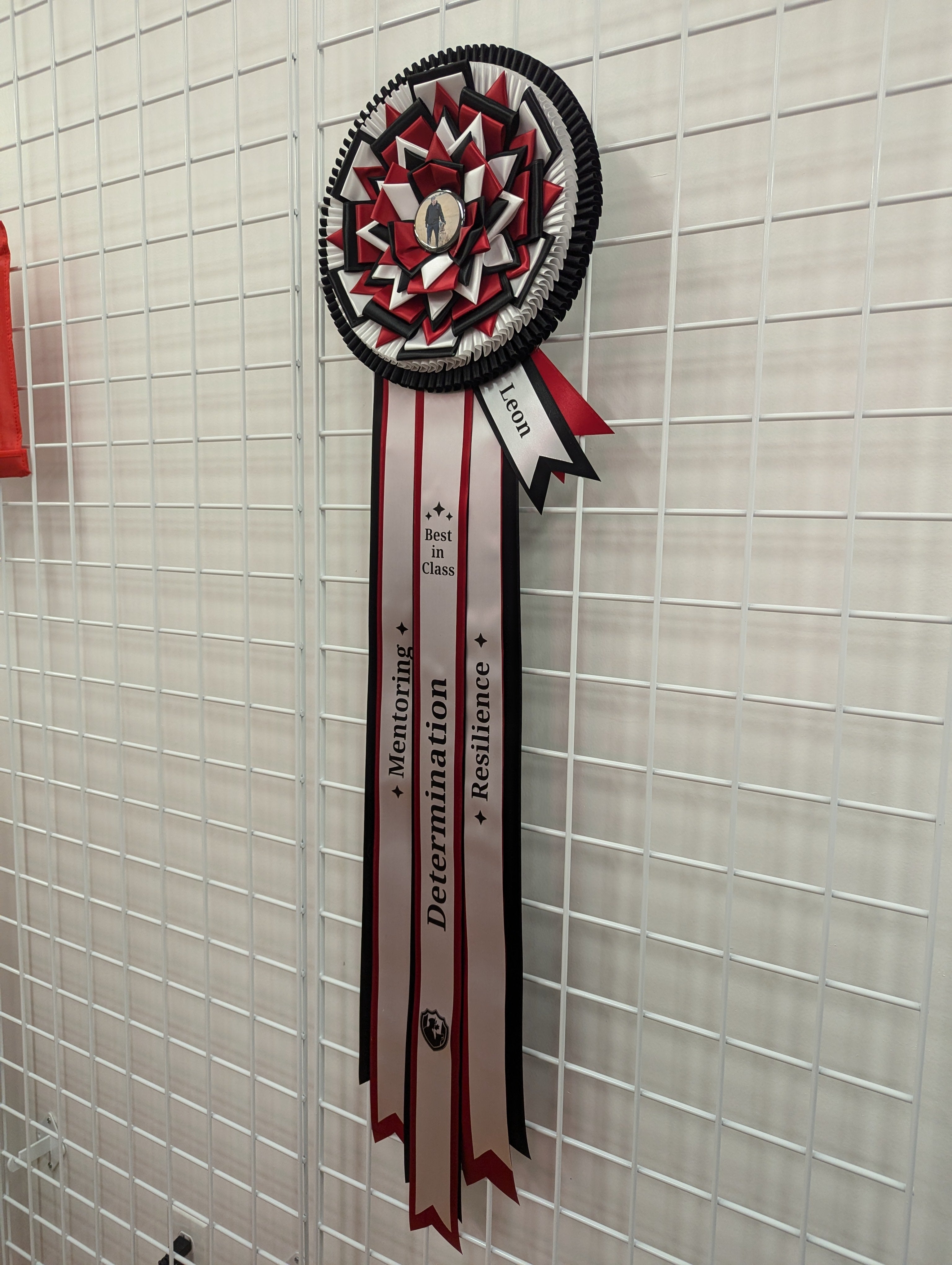 ROSETTE - "Fable" variation - Studio Finished Rosette - 12" x 36"