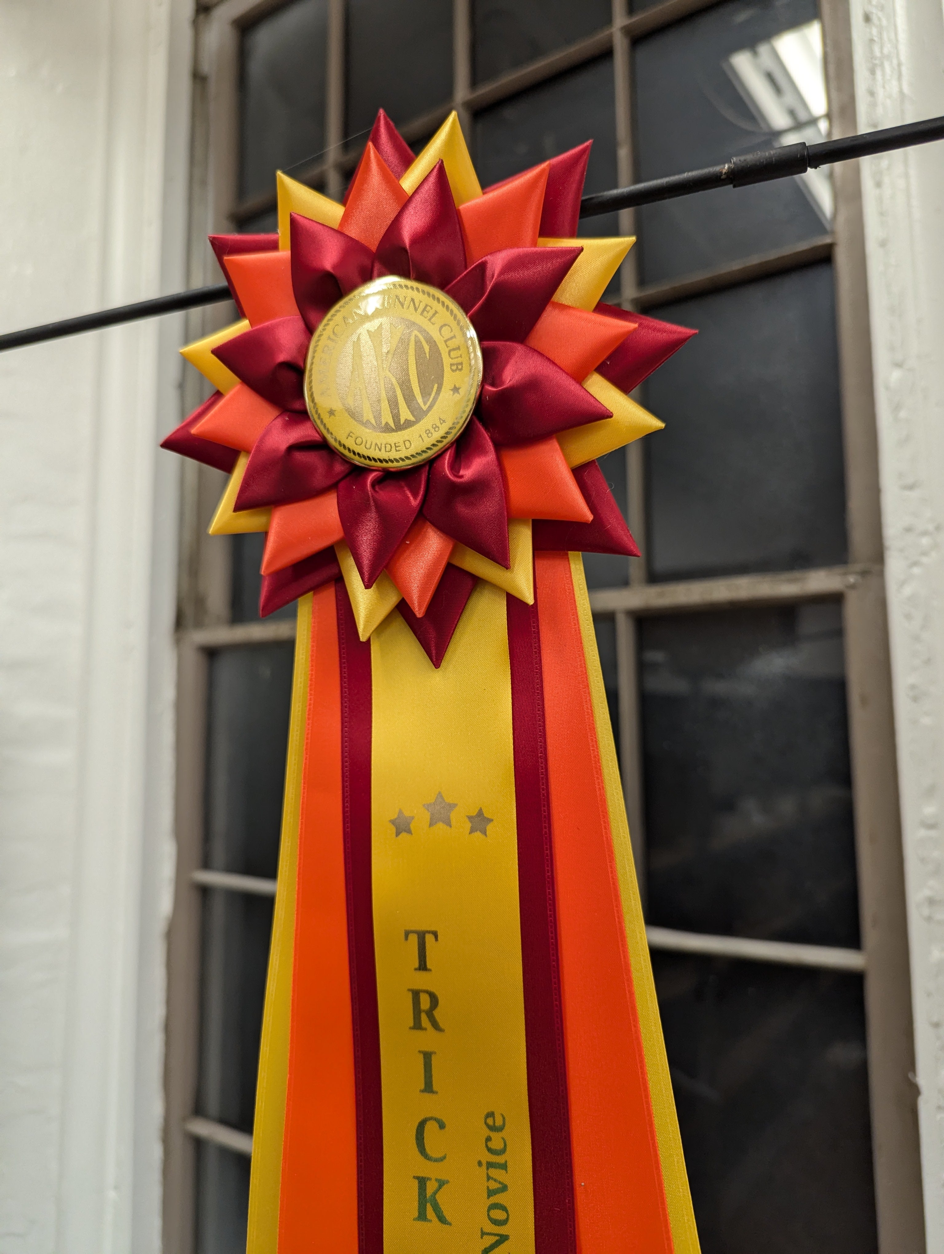 ROSETTE - "Scout" - Studio Finished Rosette - 7.5" x 22"