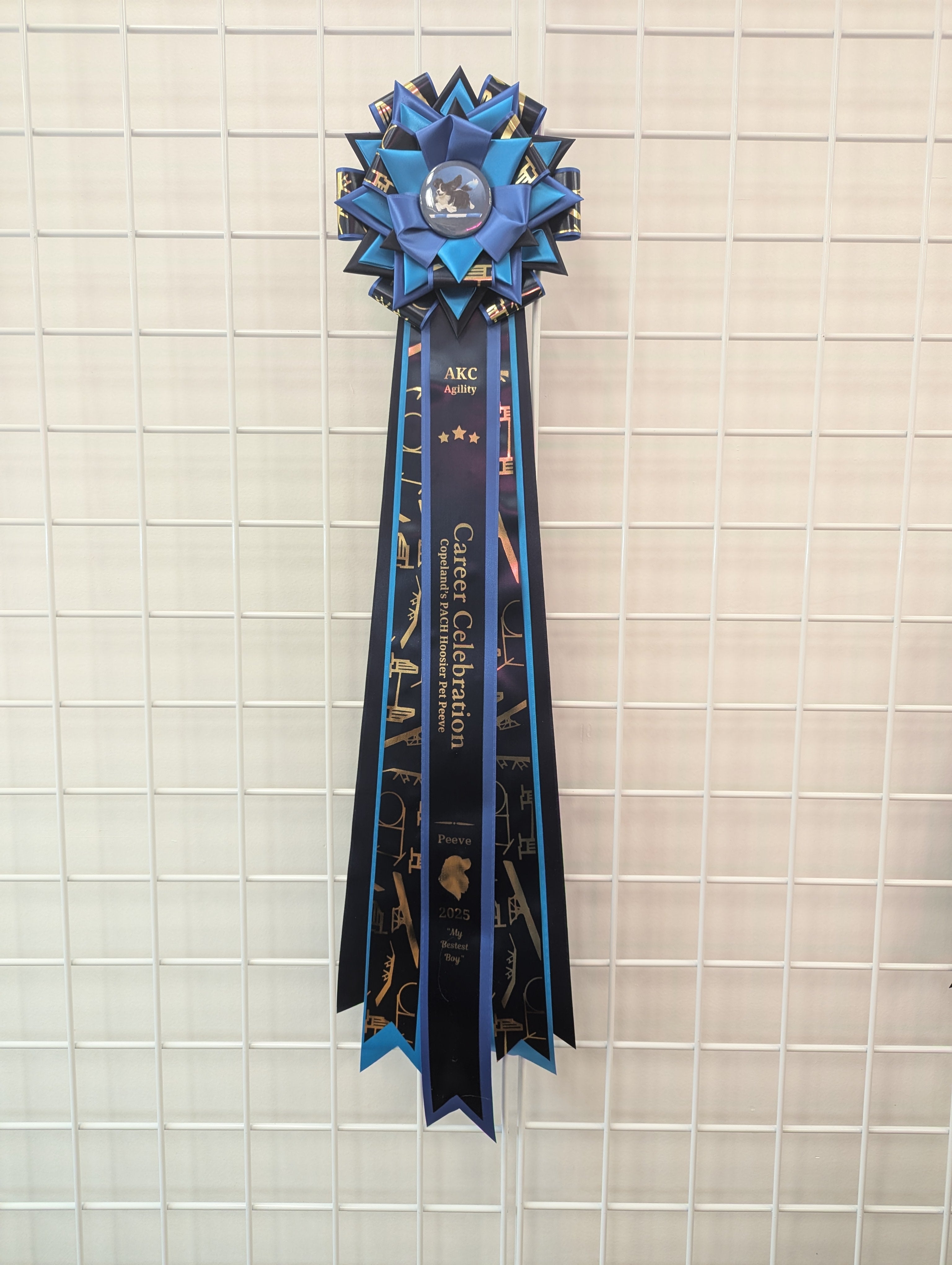 Style A: Ready to Ship Vivid Signature Award Rosette - Multiple sizes Available