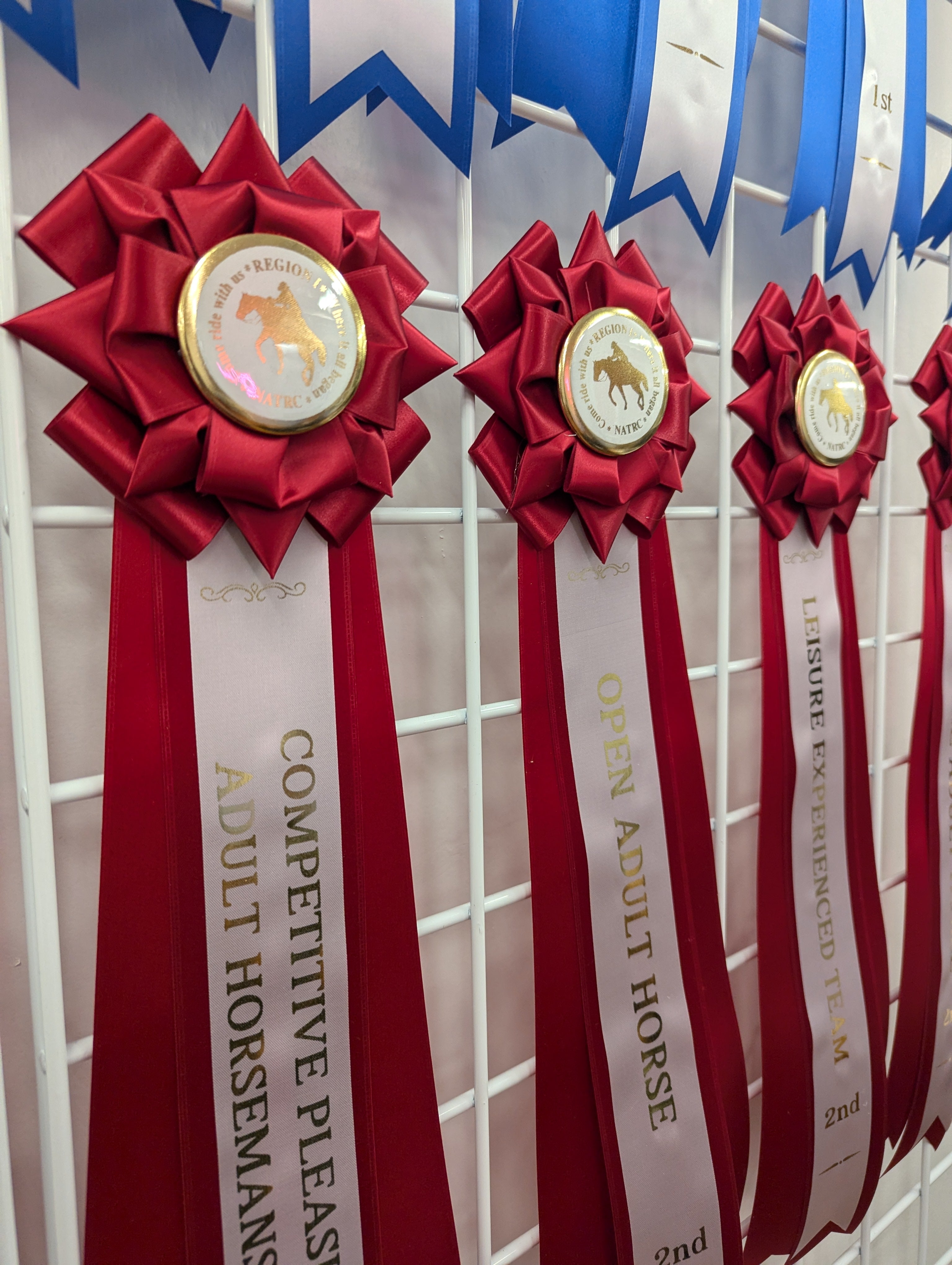 ROSETTE - "Fletcher" - Studio Finished Rosette - 5.5 x 18