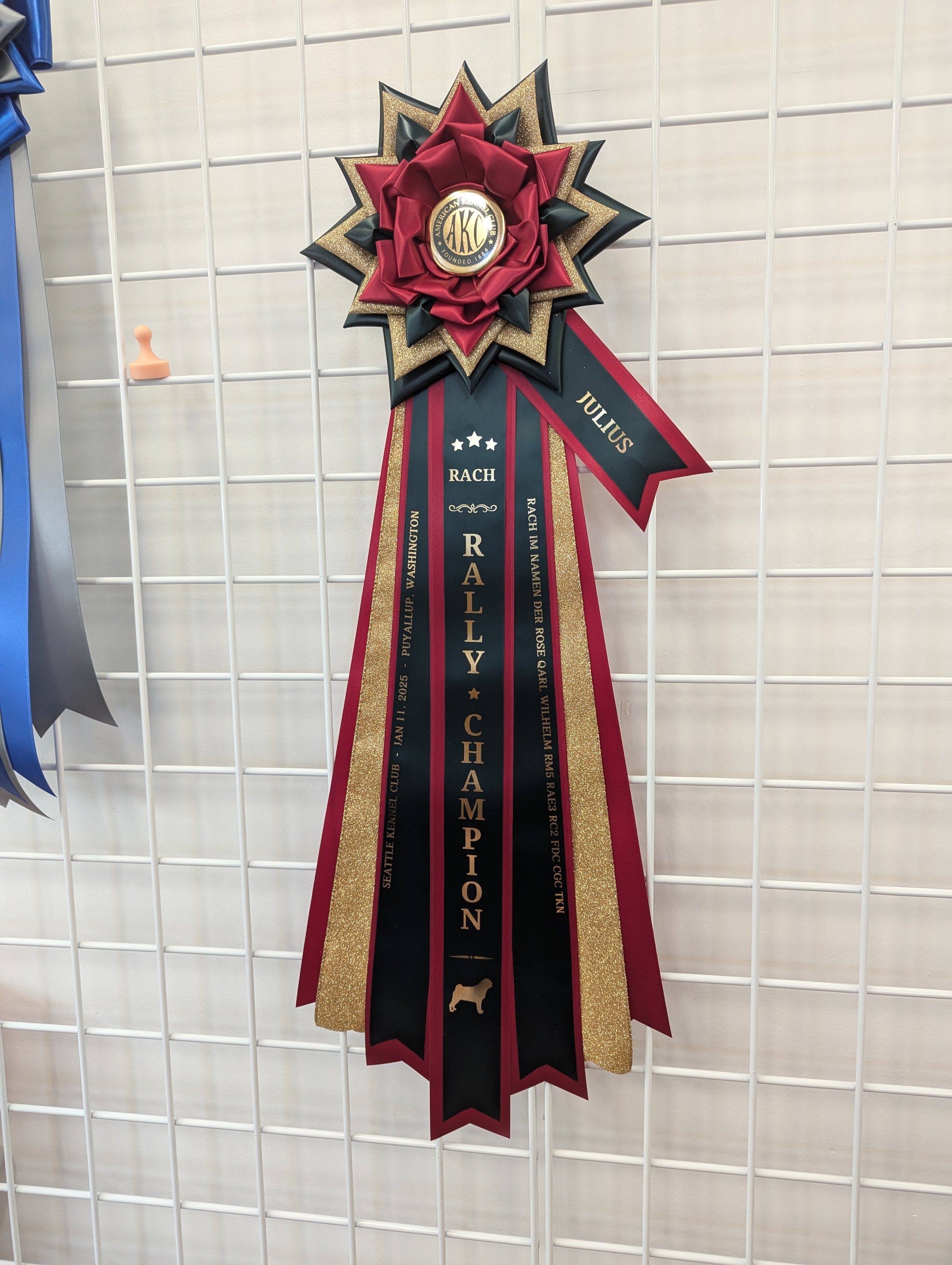 ROSETTE - "Zara" - Studio Finished Rosette - 9" x 28"