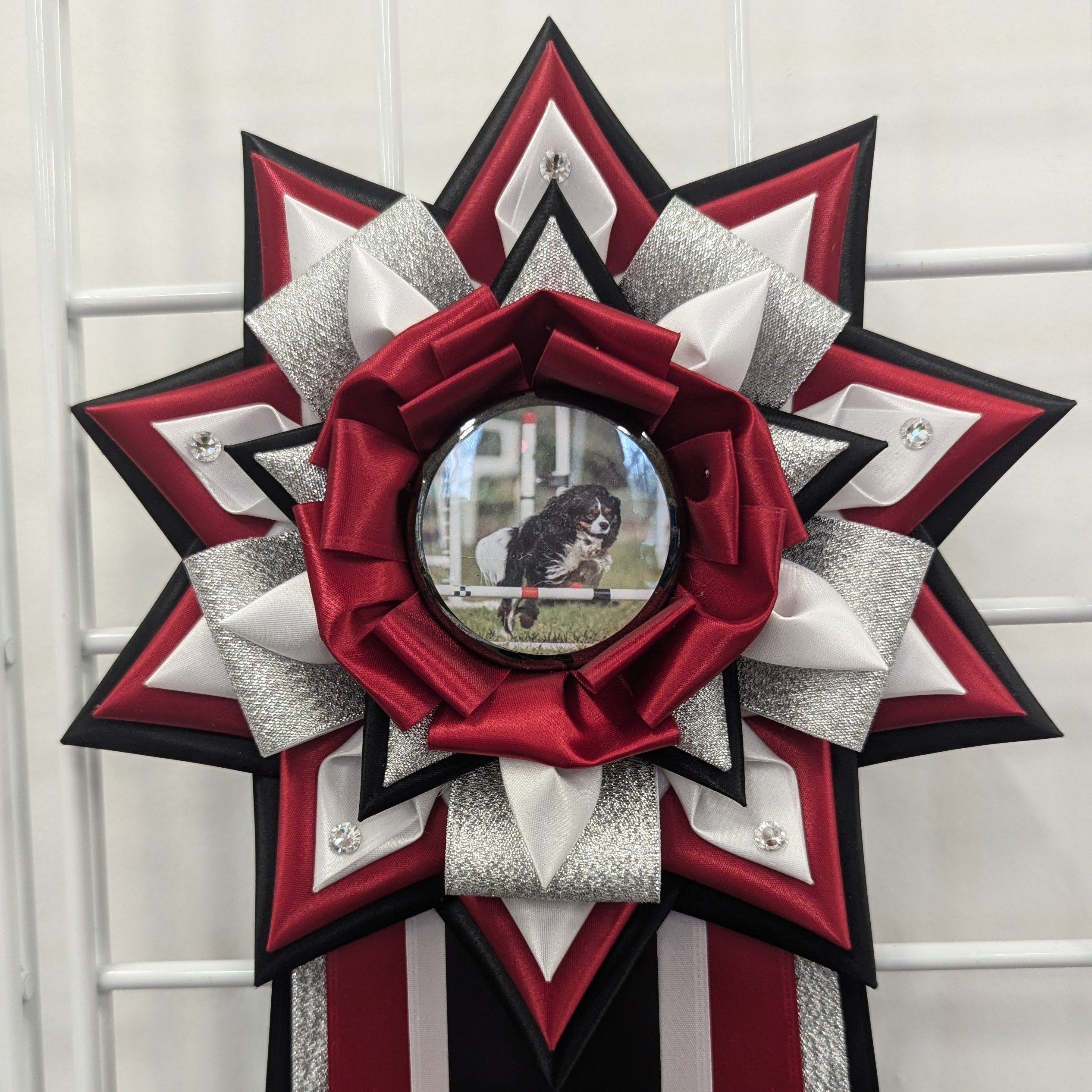 ROSETTE - "Georgie" - Studio Finished Rosette - 9"× 28"