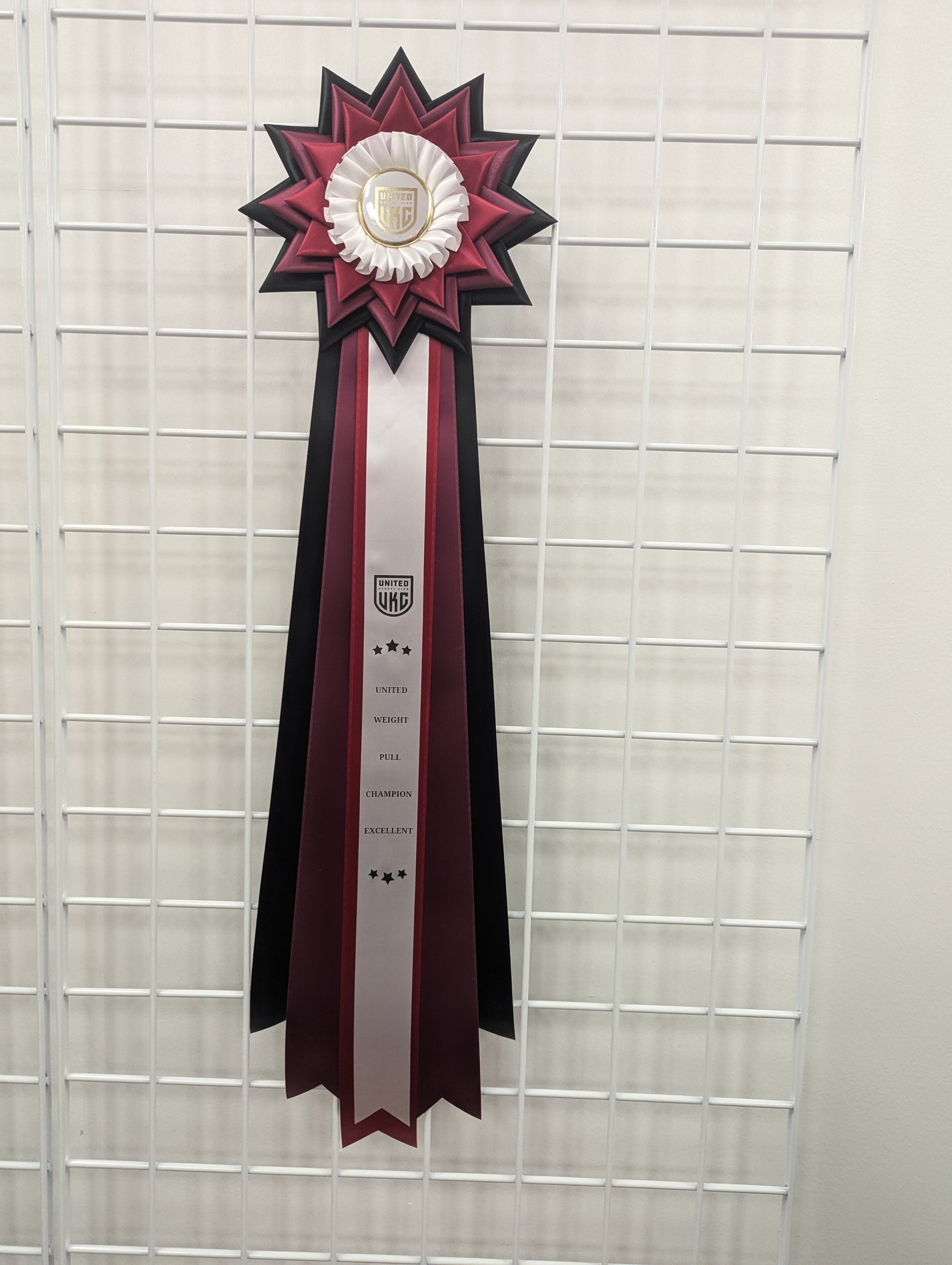 ROSETTE - "Tilly" - Studio Finished Rosette - 9" × 28"