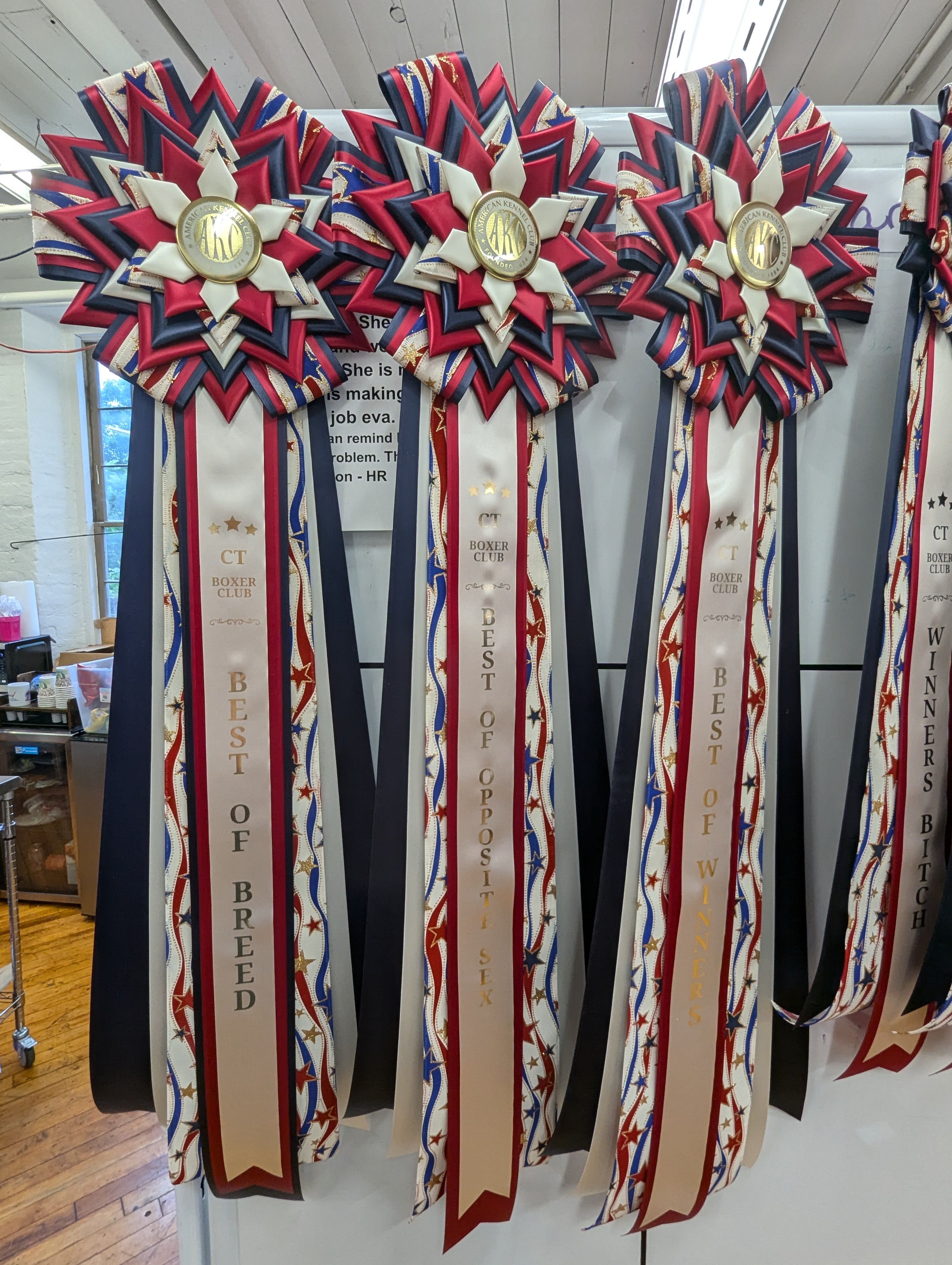 ROSETTE - "Ivy" - Studio Finished Rosette - 10" × 30"