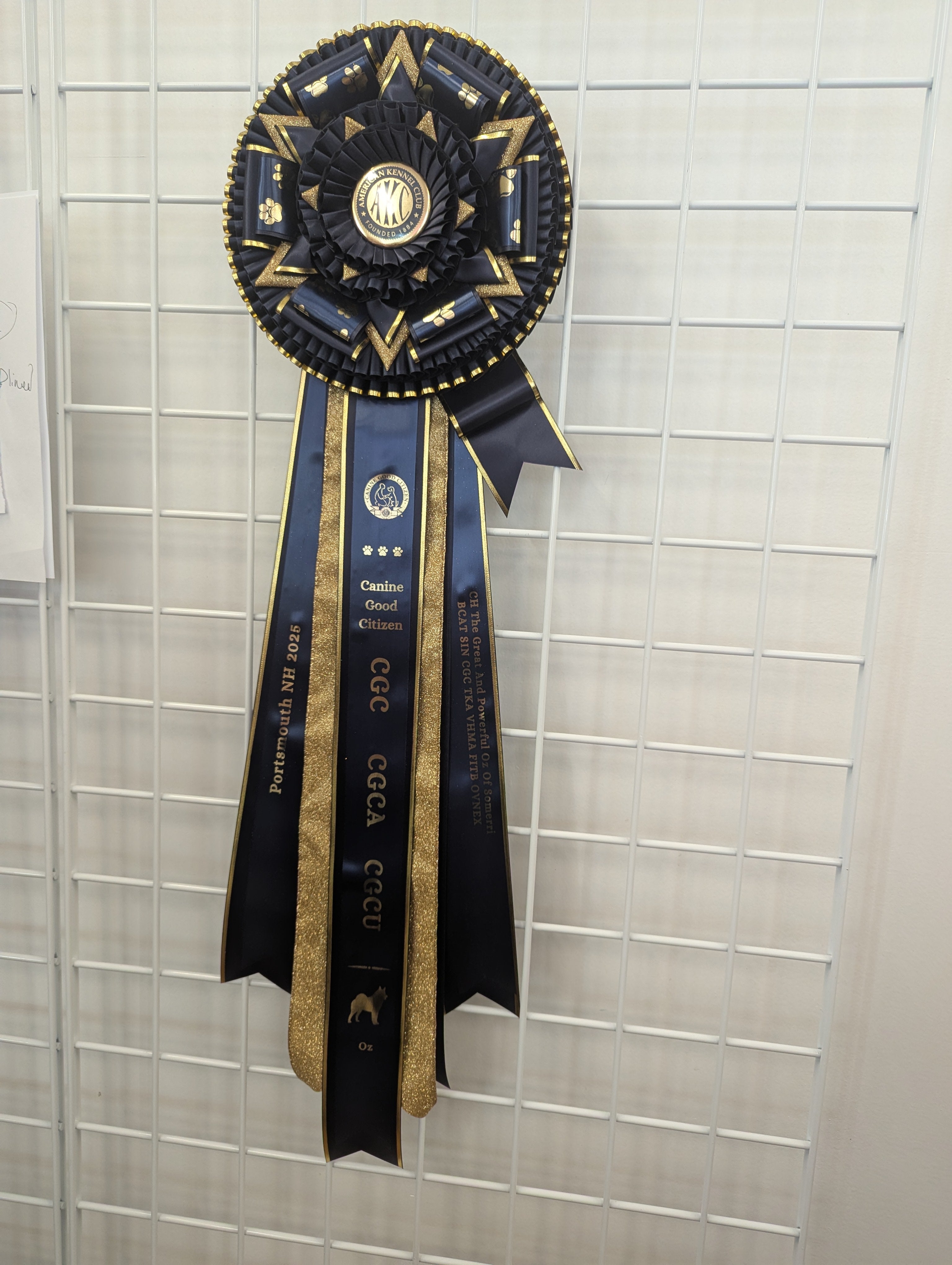 ROSETTE - "Calvin" - Studio Finished Rosette - 10" x 30"