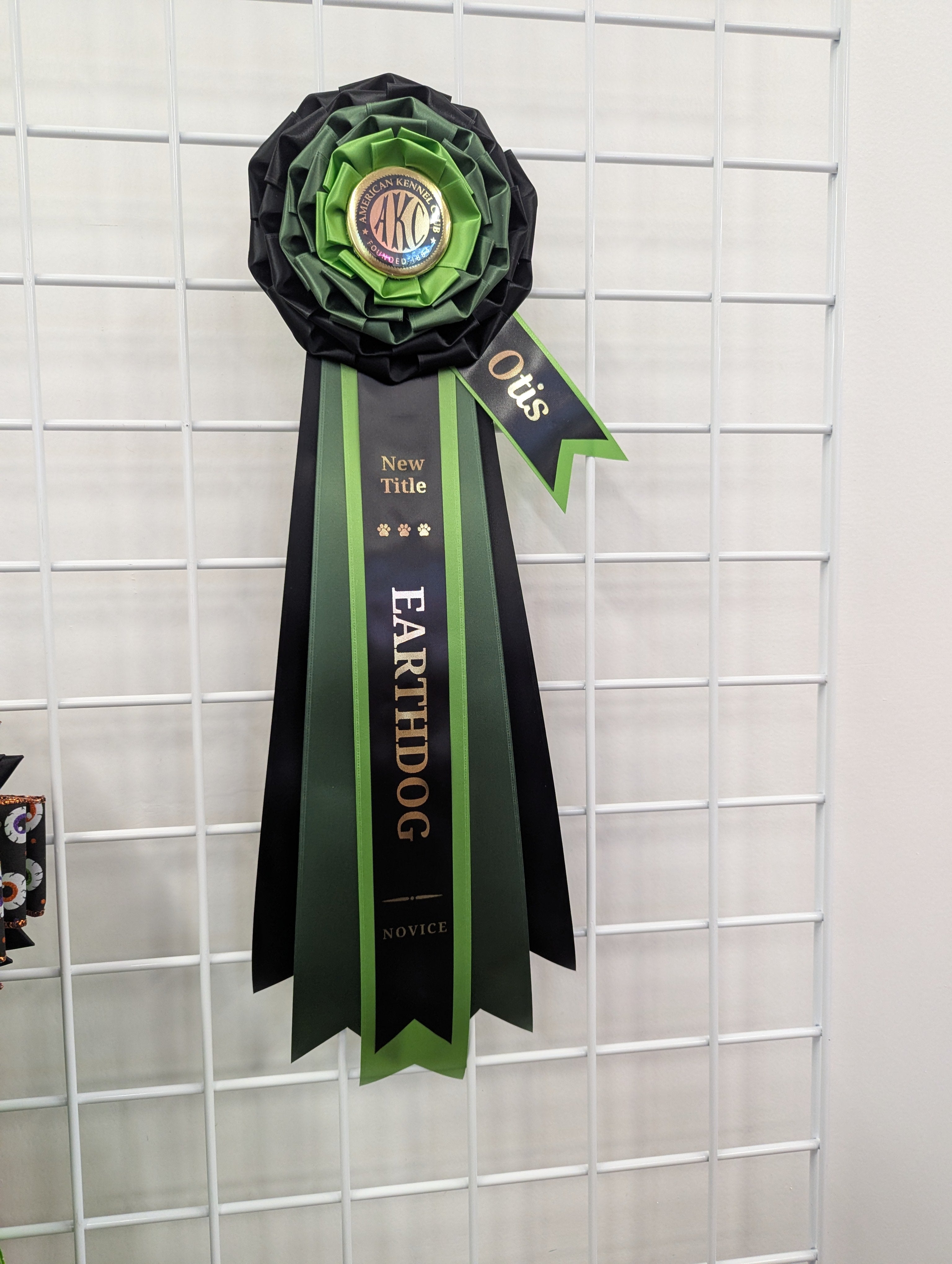 FEATURED: ROSETTE - "Rosalie" - Studio Finished Rosette - 6.5"x20"