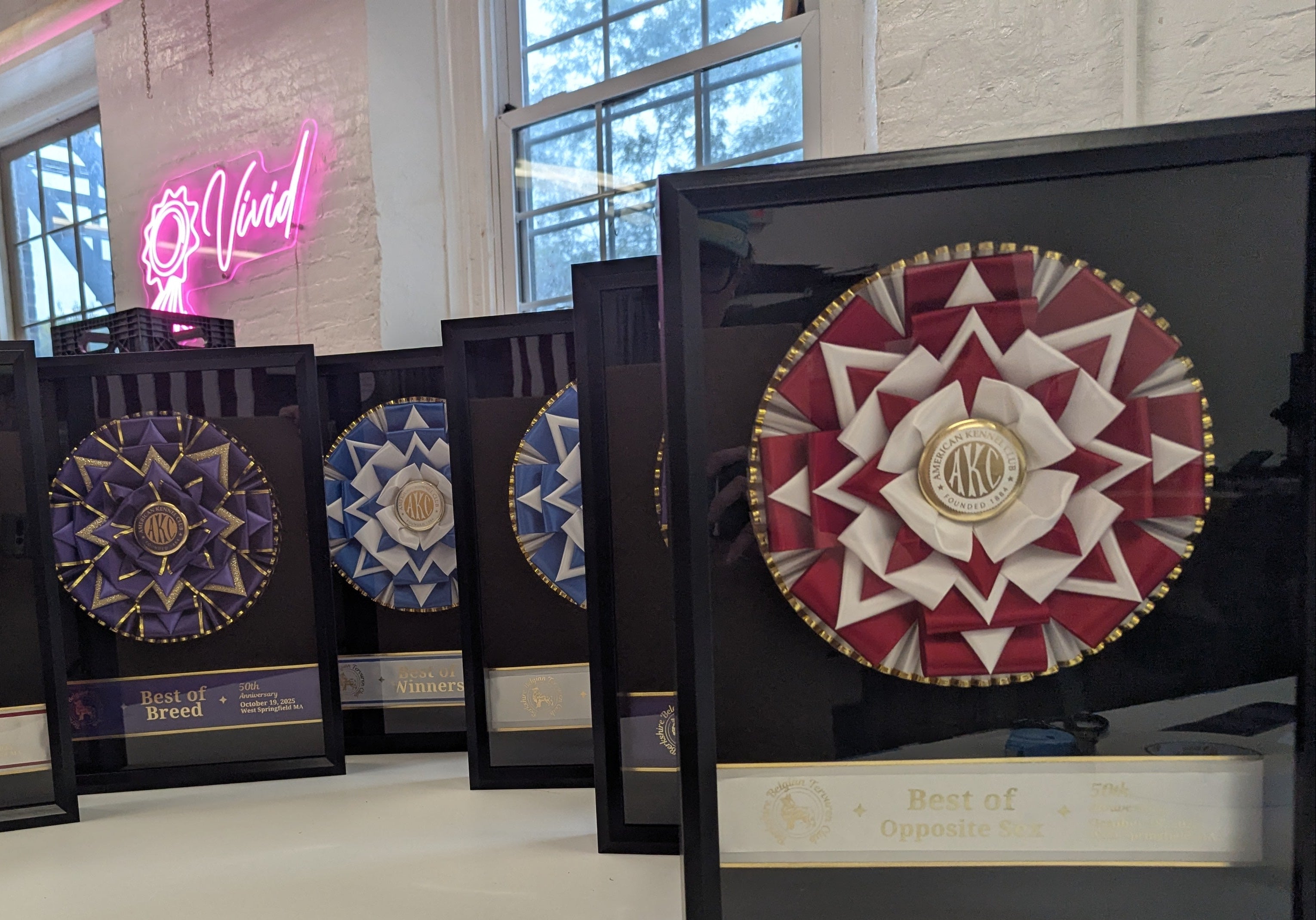 ROSETTE - "Mason" - Studio Finished Shadowbox Rosette - 12" x 16"