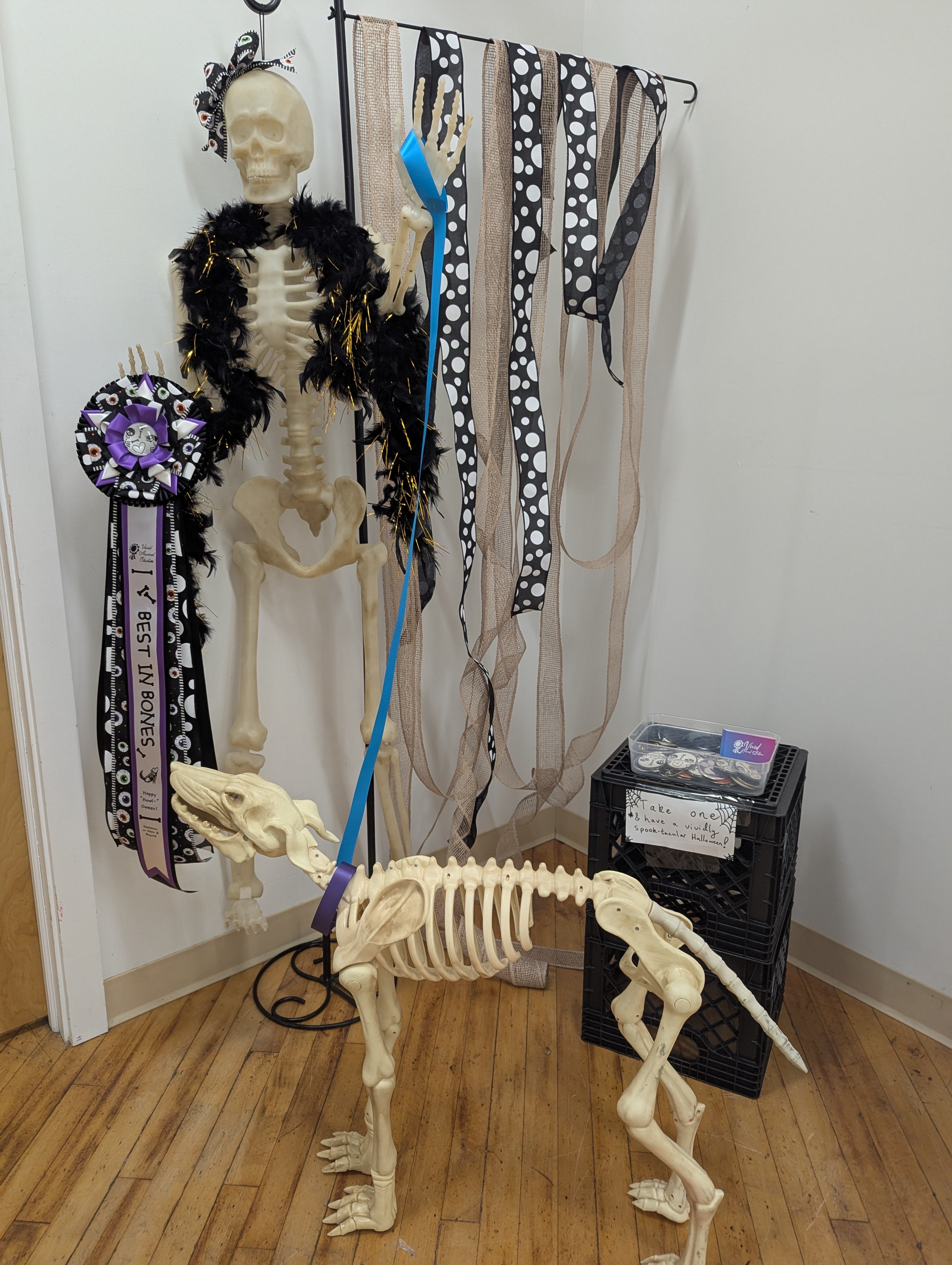 ROSETTE - "Chip" - Studio Finished Rosette - 8" x 26"