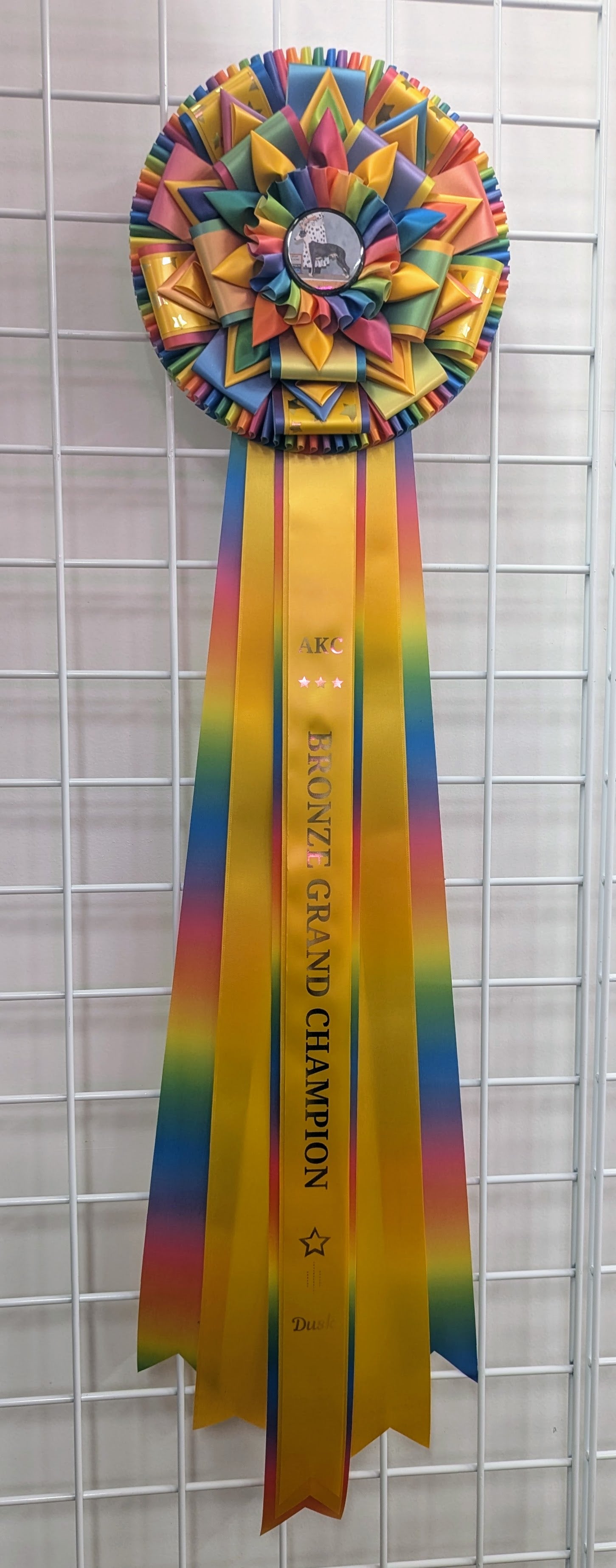 ROSETTE - "Able" - Studio Finished Rosette - 10" x 30"