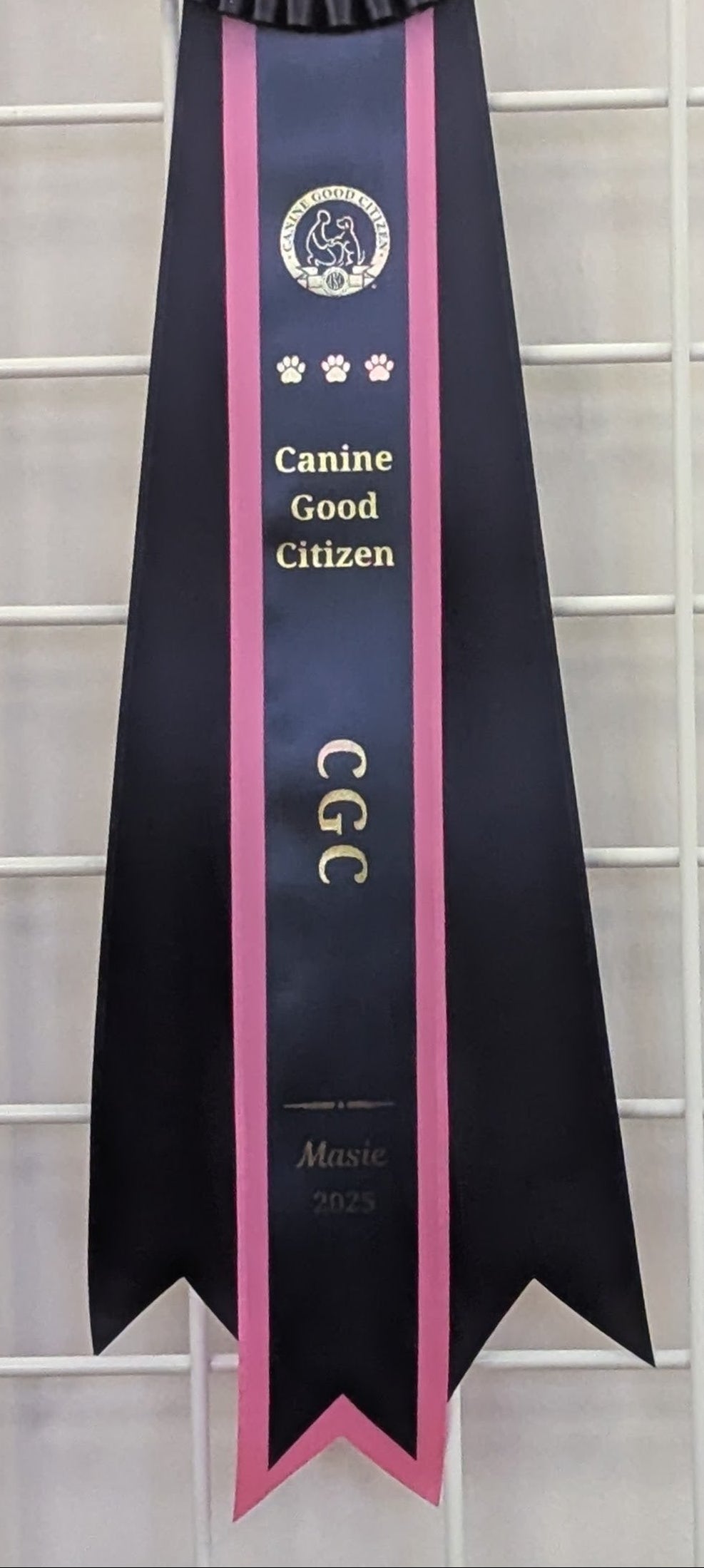 STREAMER - Custom Foil Printed Streamer – Designed for Rosettes