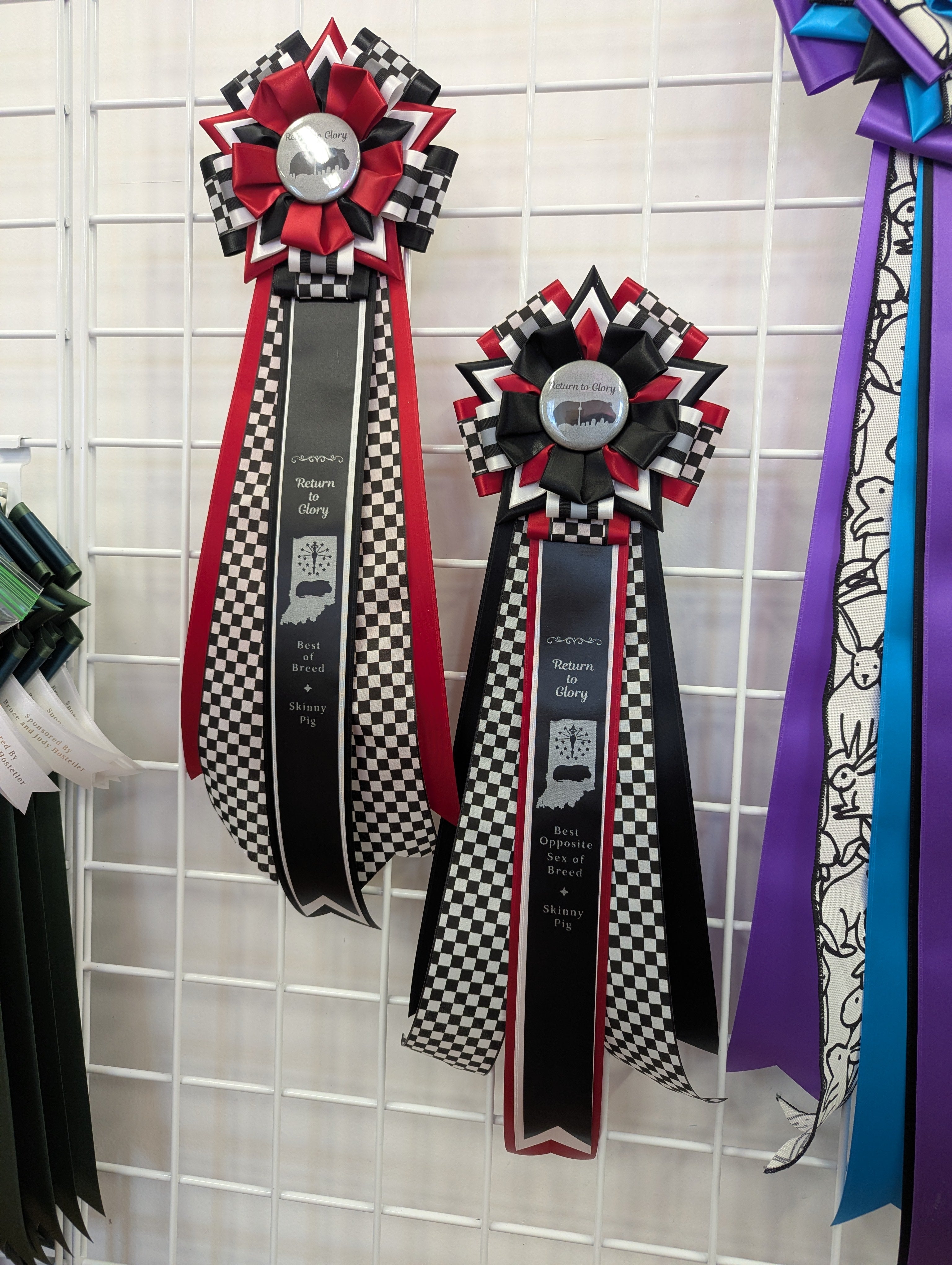 ROSETTE - "Enzo" - Studio Finished Journey Rosette - 6.5" x 18"