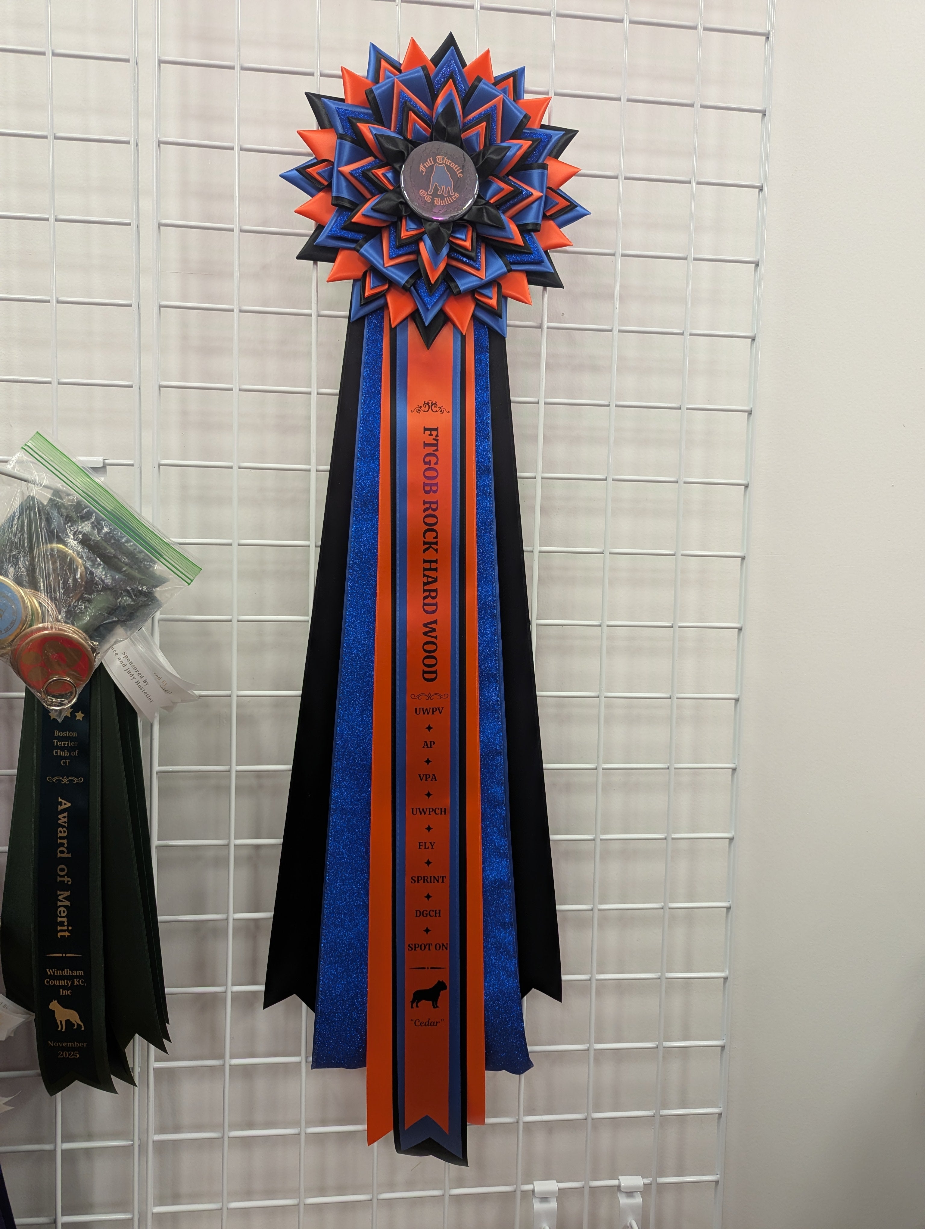 ROSETTE - "Vinnie" - Studio Finished Rosette - 12" x 36"