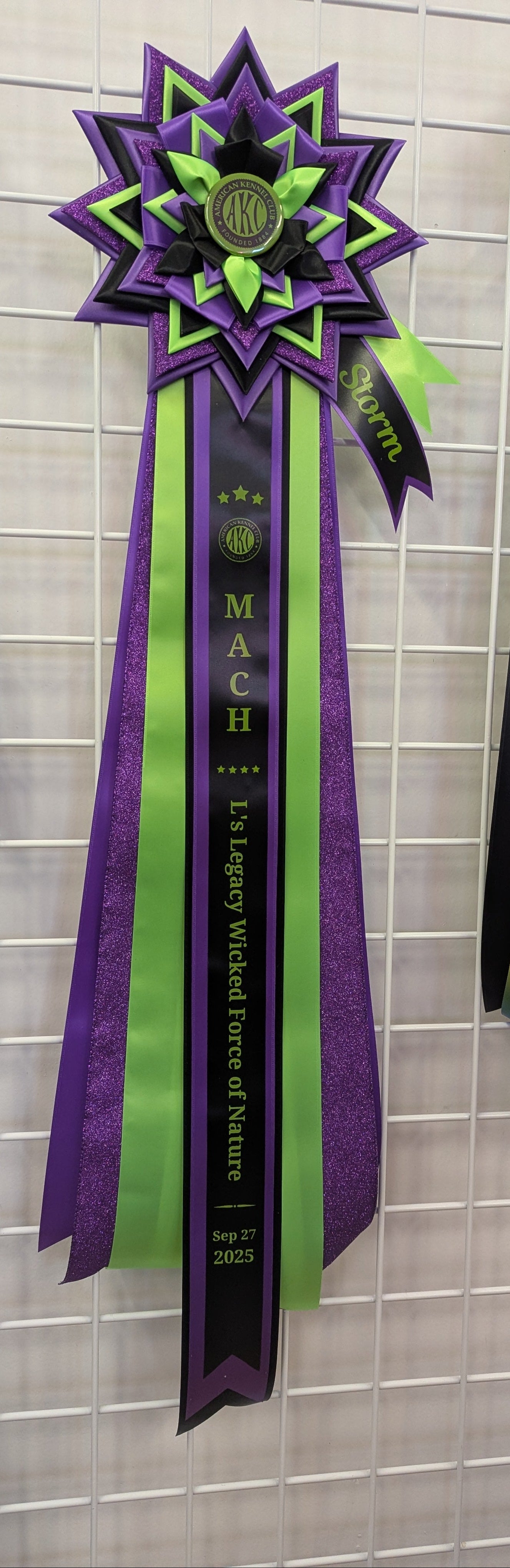 ROSETTE - "Storm" - Studio Finished Rosette - 10"x30"