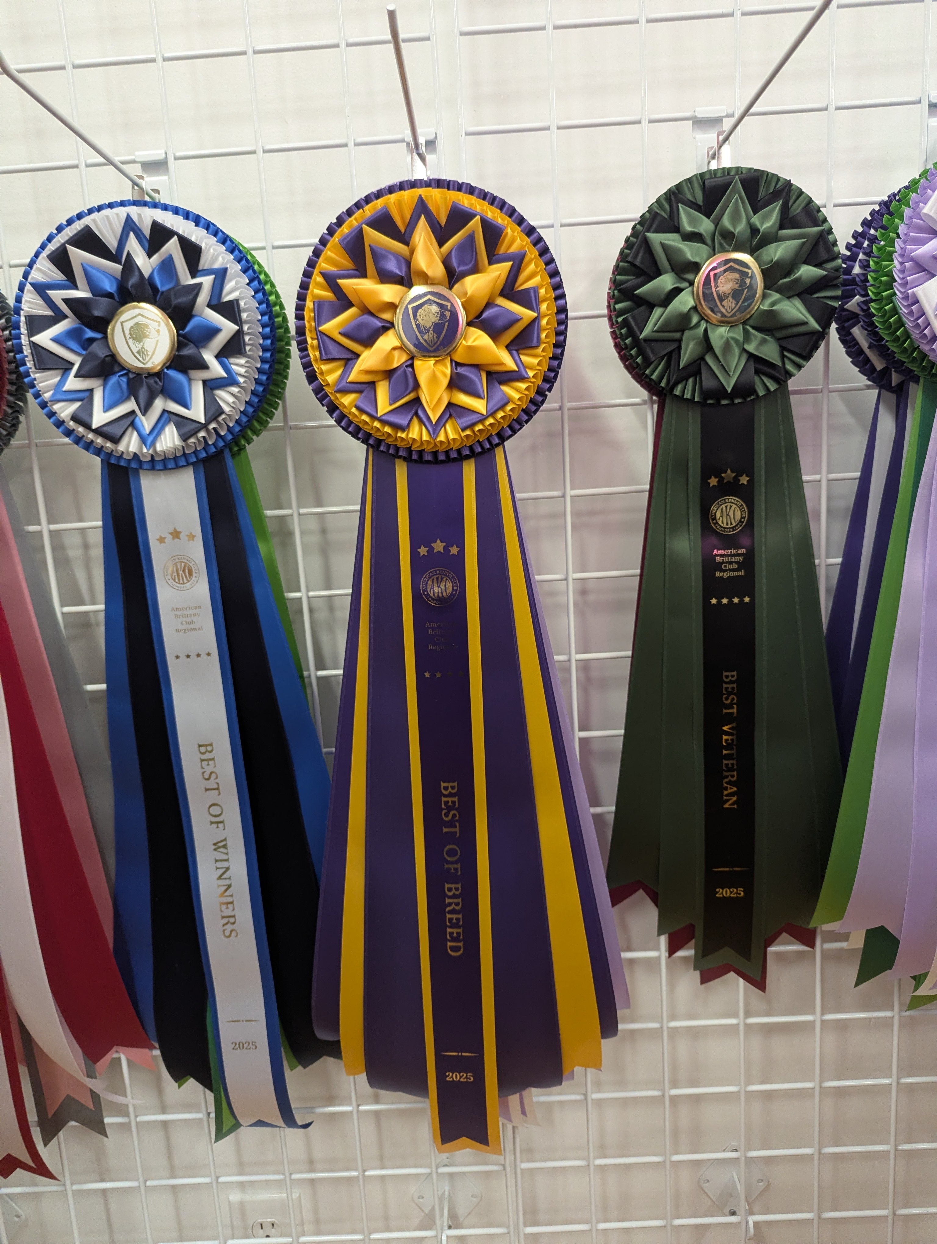 ROSETTE - "Callie" - Studio Finished Rosette 10"x30" or 8.5"x24"