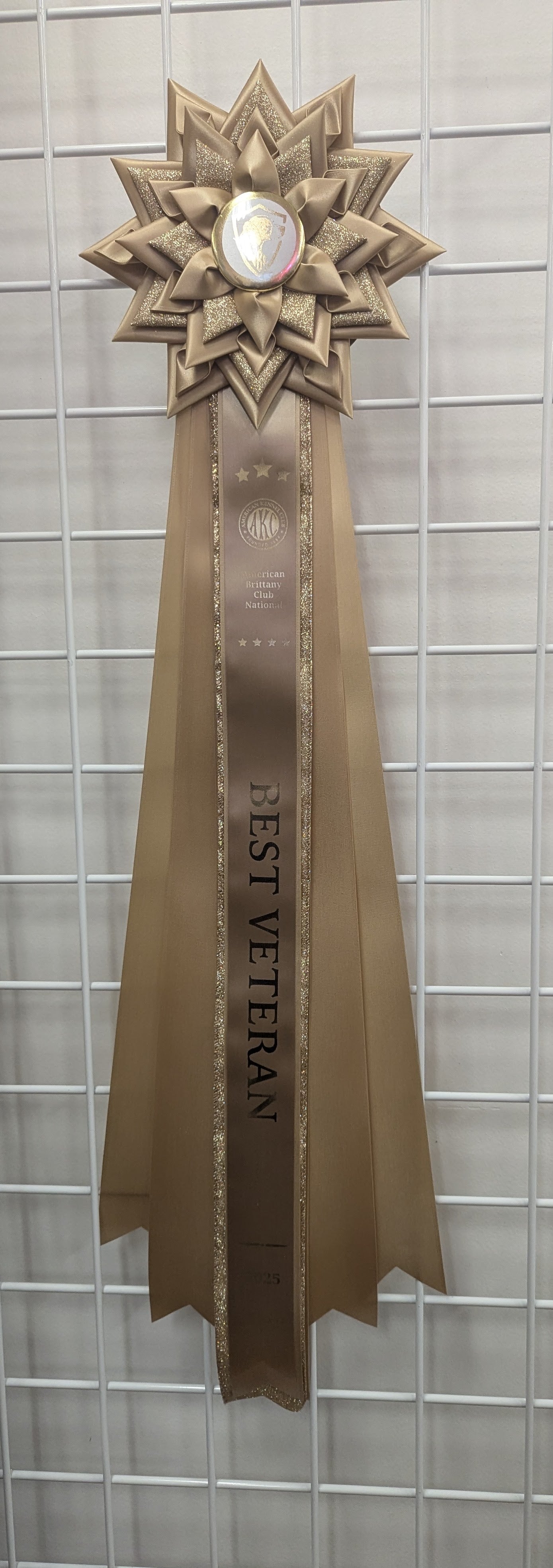 ROSETTE - "Vienne" - Studio Finished Rosette - 9" x 28"