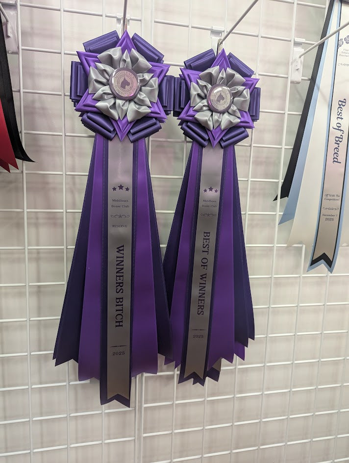 ROSETTE - "Joey" - Studio Finished Rosette - 8" x 24"