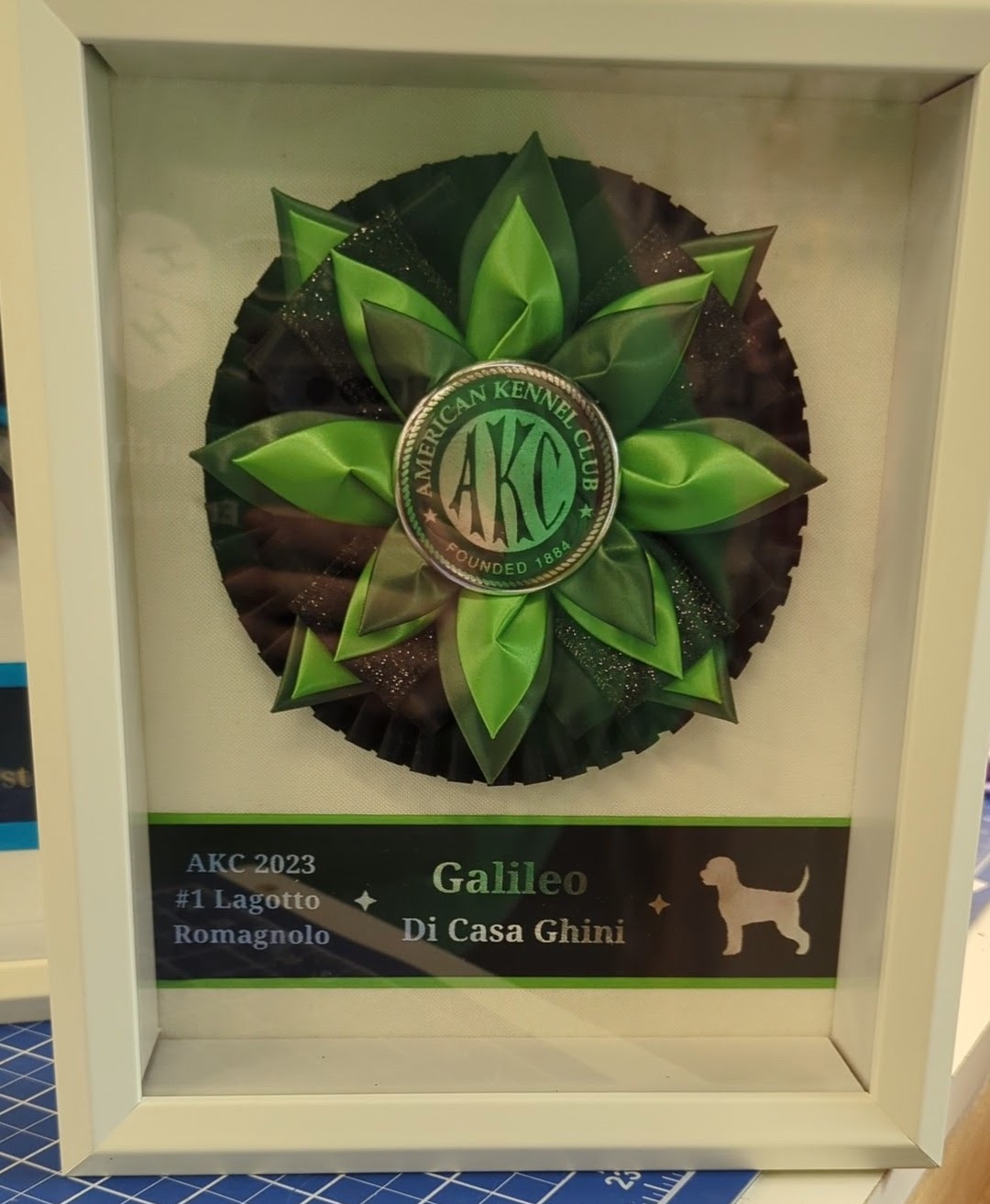 ROSETTE - "Maple" - Studio Finished - 8x10 shadowbox - 6.5" rosette