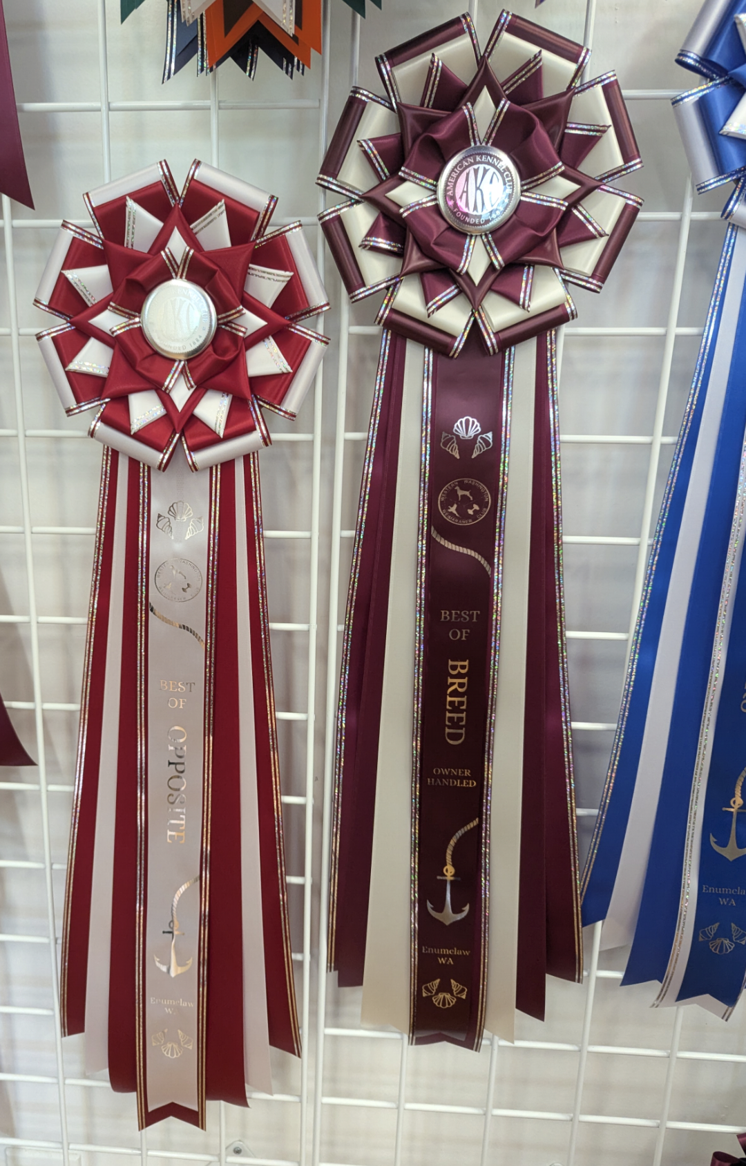 ROSETTE - "Orbit" - Studio Finished Rosette - 8.5" x 26"