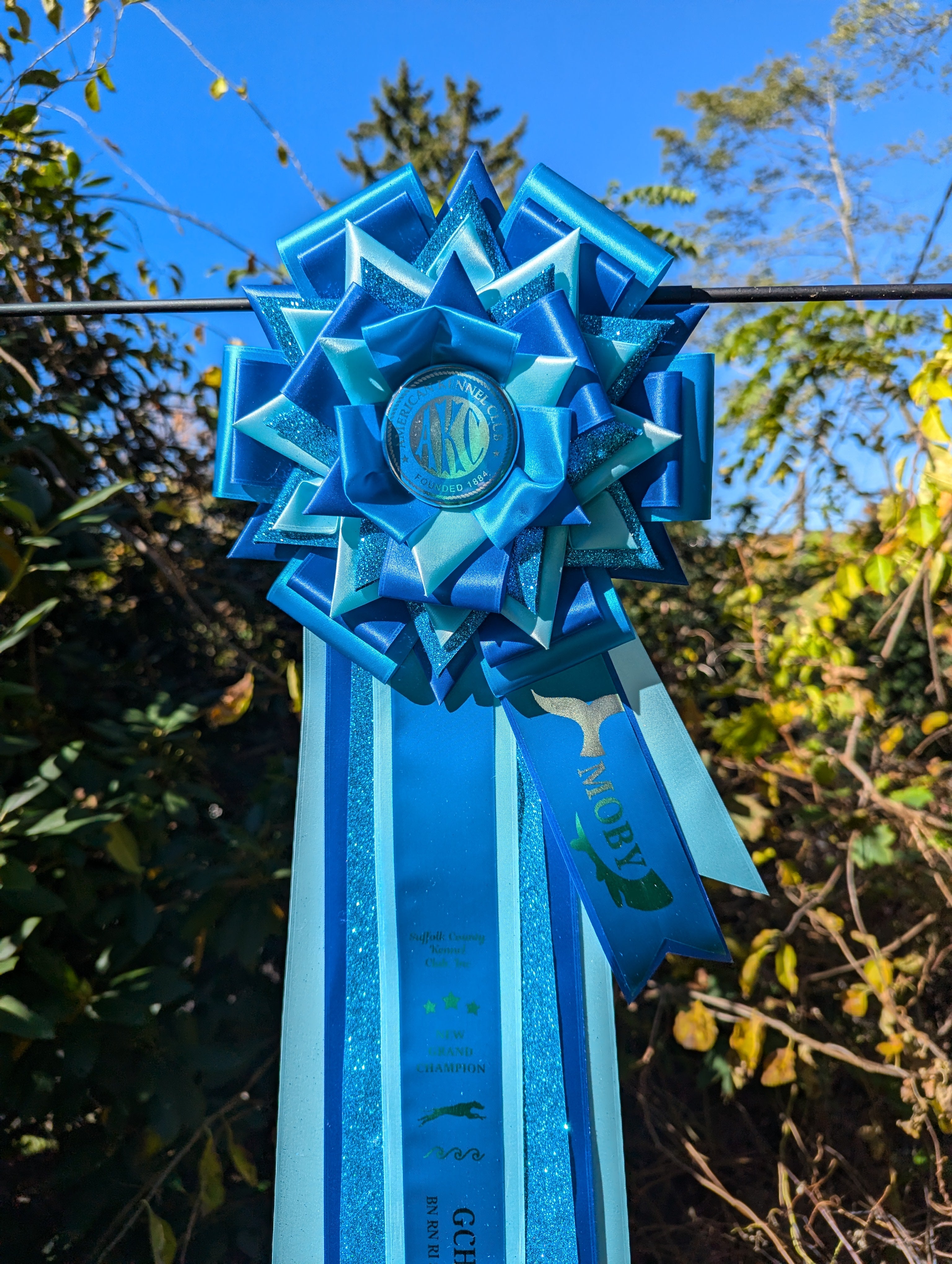 Style A: Ready to Ship Vivid Signature Award Rosette - Multiple sizes Available