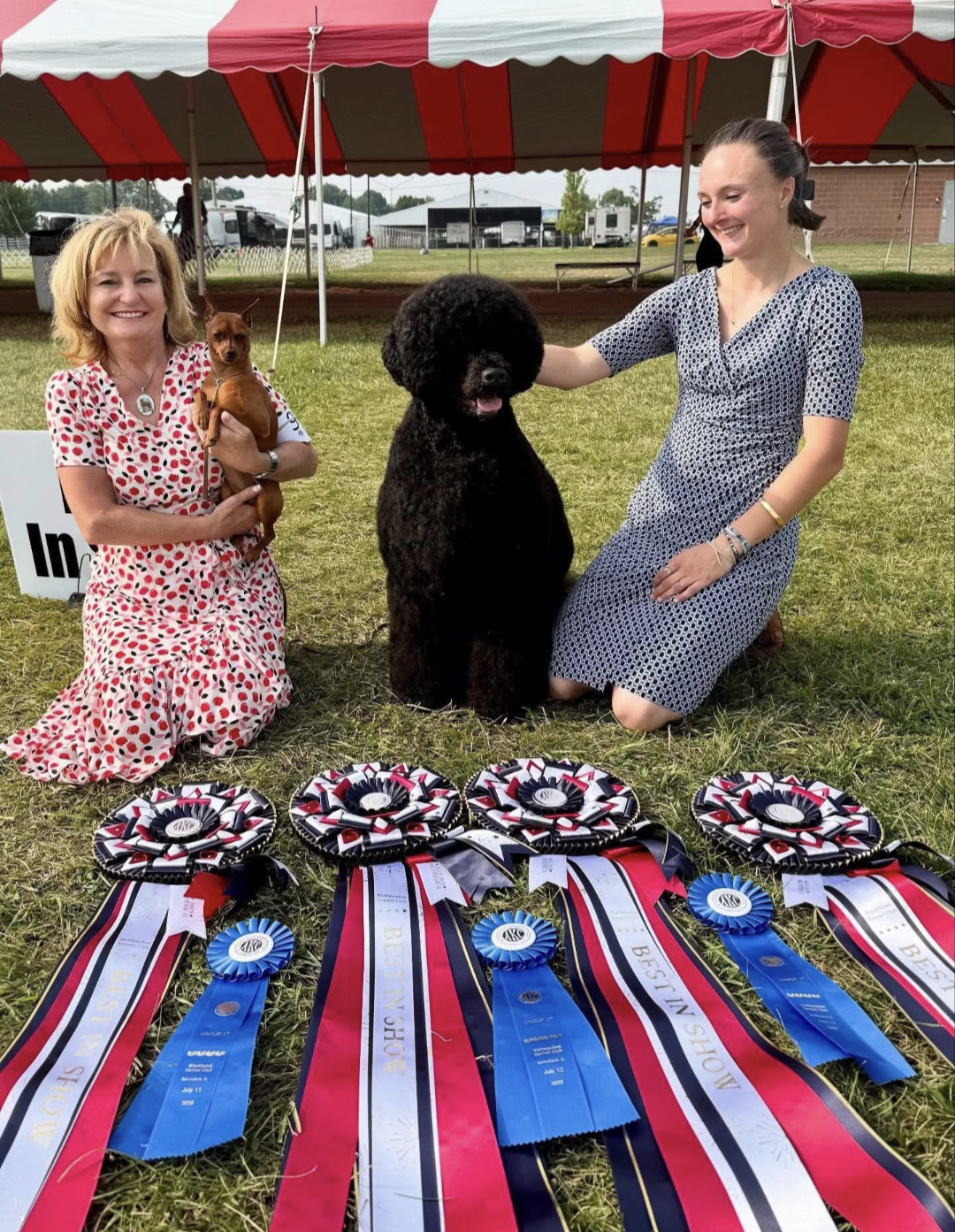 ROSETTE - "Brandi" - Studio Finished Rosette - 12" x 36"