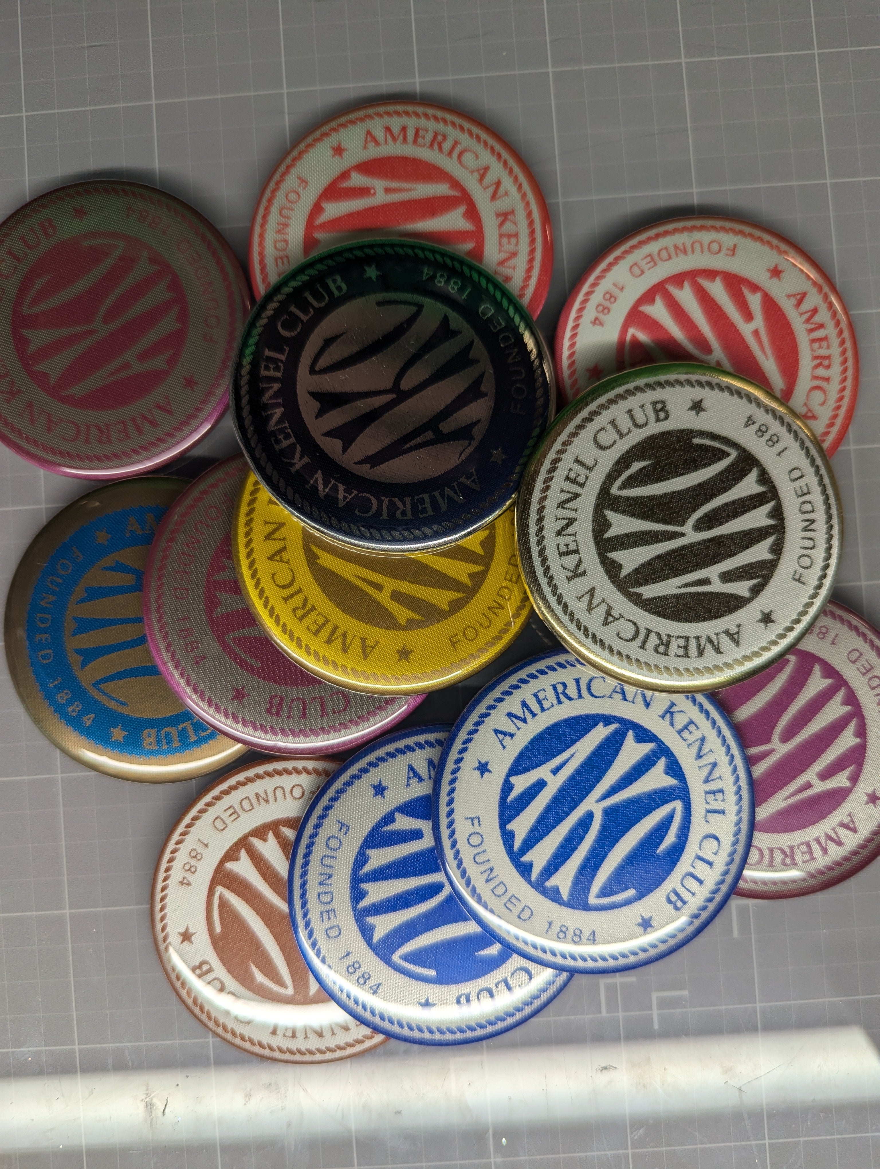 BARGAIN Basement - AKC Badge Buttons Grab Bag – 2.25" (Set of 10, Sold As-Is)