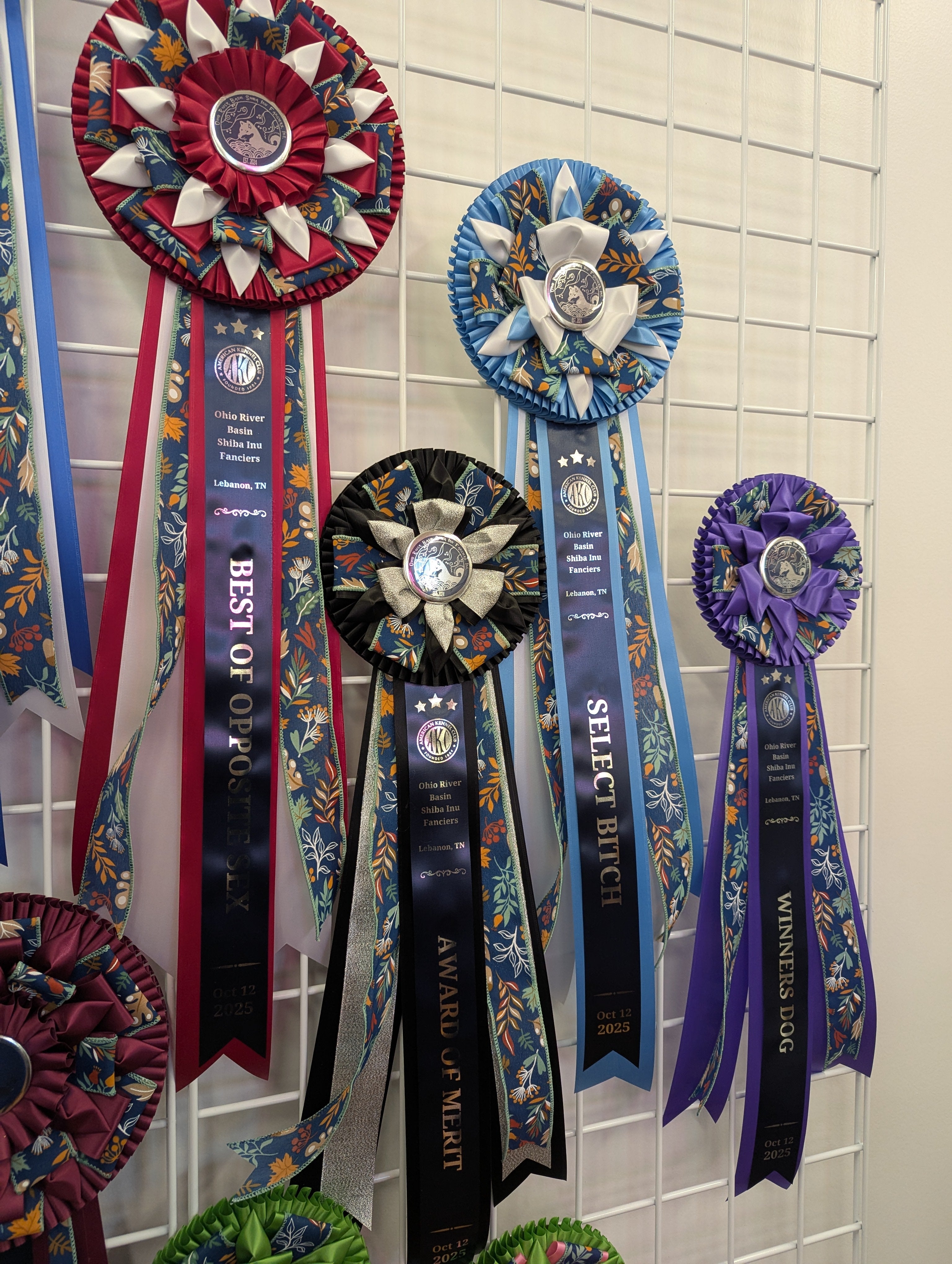 ROSETTE - "Birch" - Studio Finished Rosette - 8" x 26"