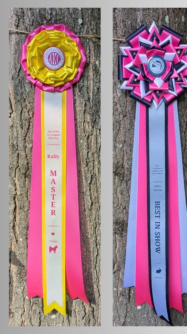 Style B: Ready to Ship Vivid Signature Award Rosette - 6.5" x 20"