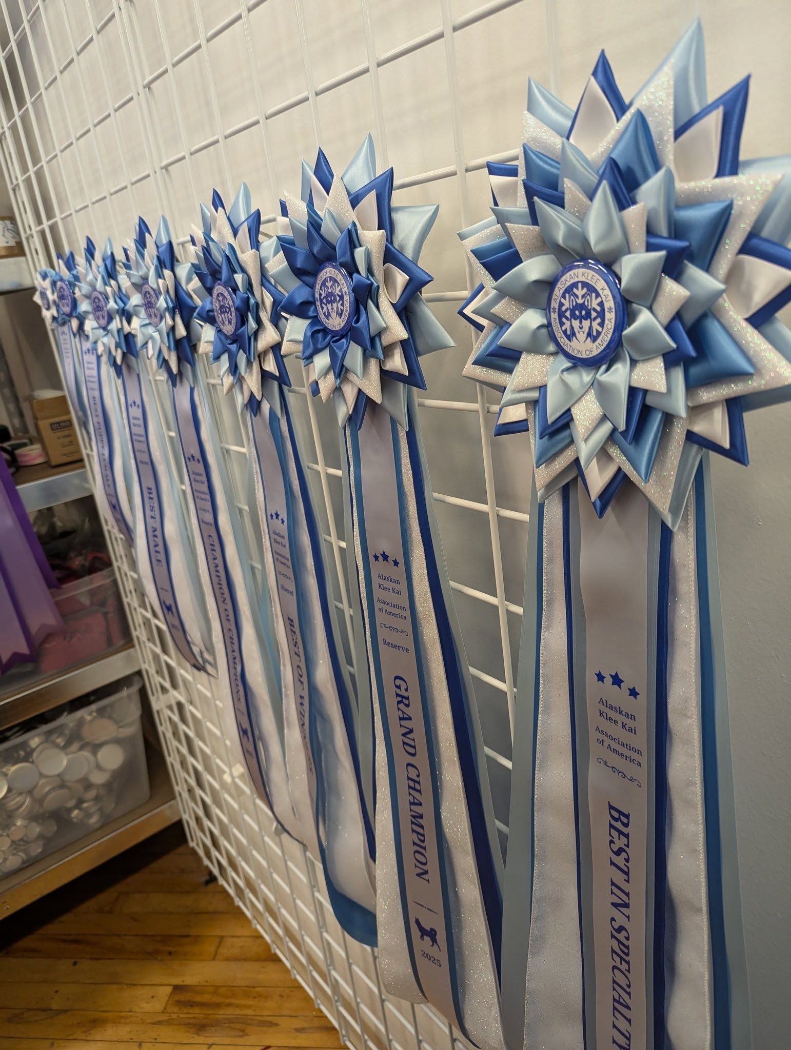 ROSETTE - "Willow" - Studio Finished Rosette - 7.5" x 22"