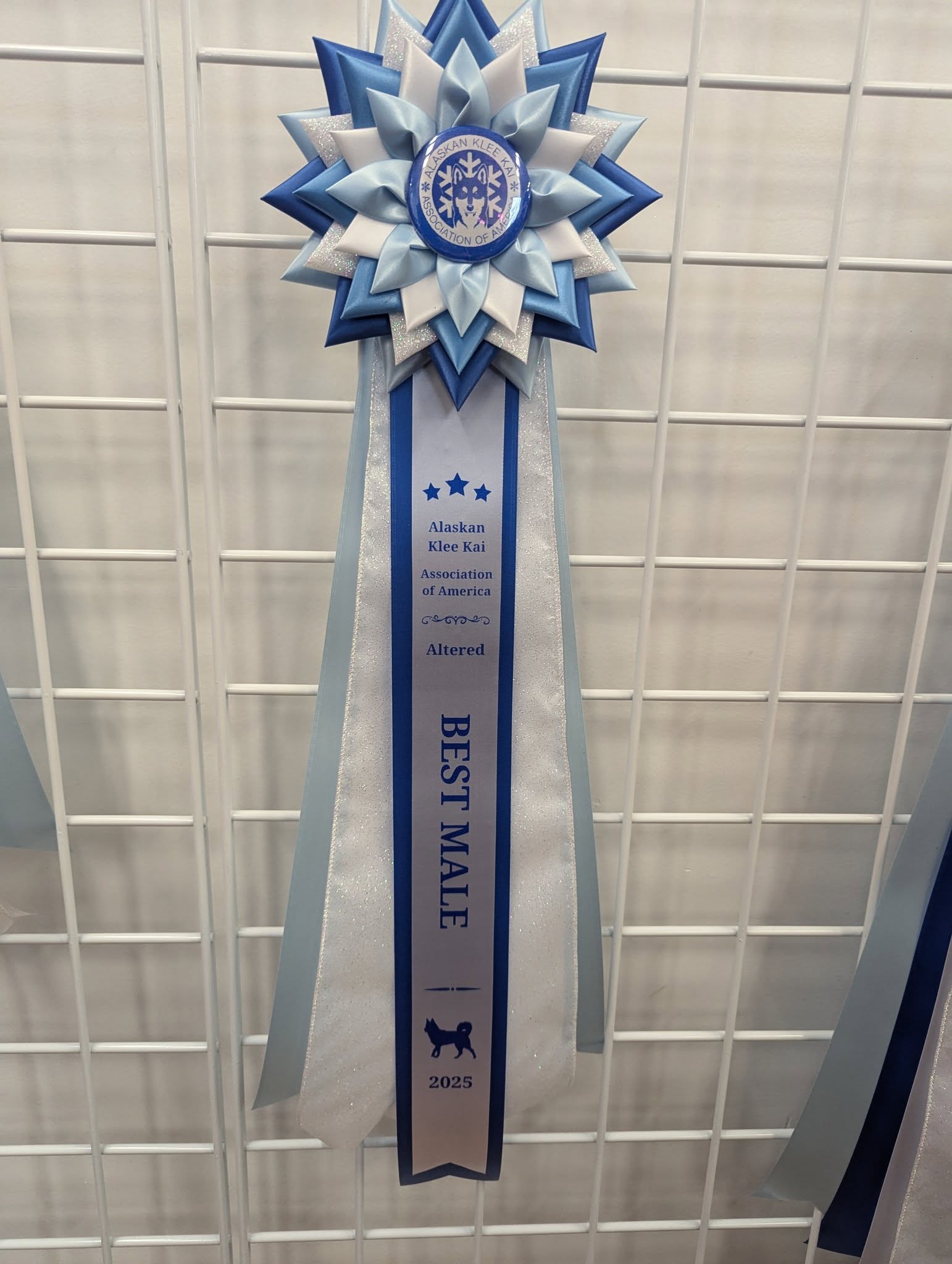 ROSETTE - "Willow" - Studio Finished Rosette - 7.5" x 22"