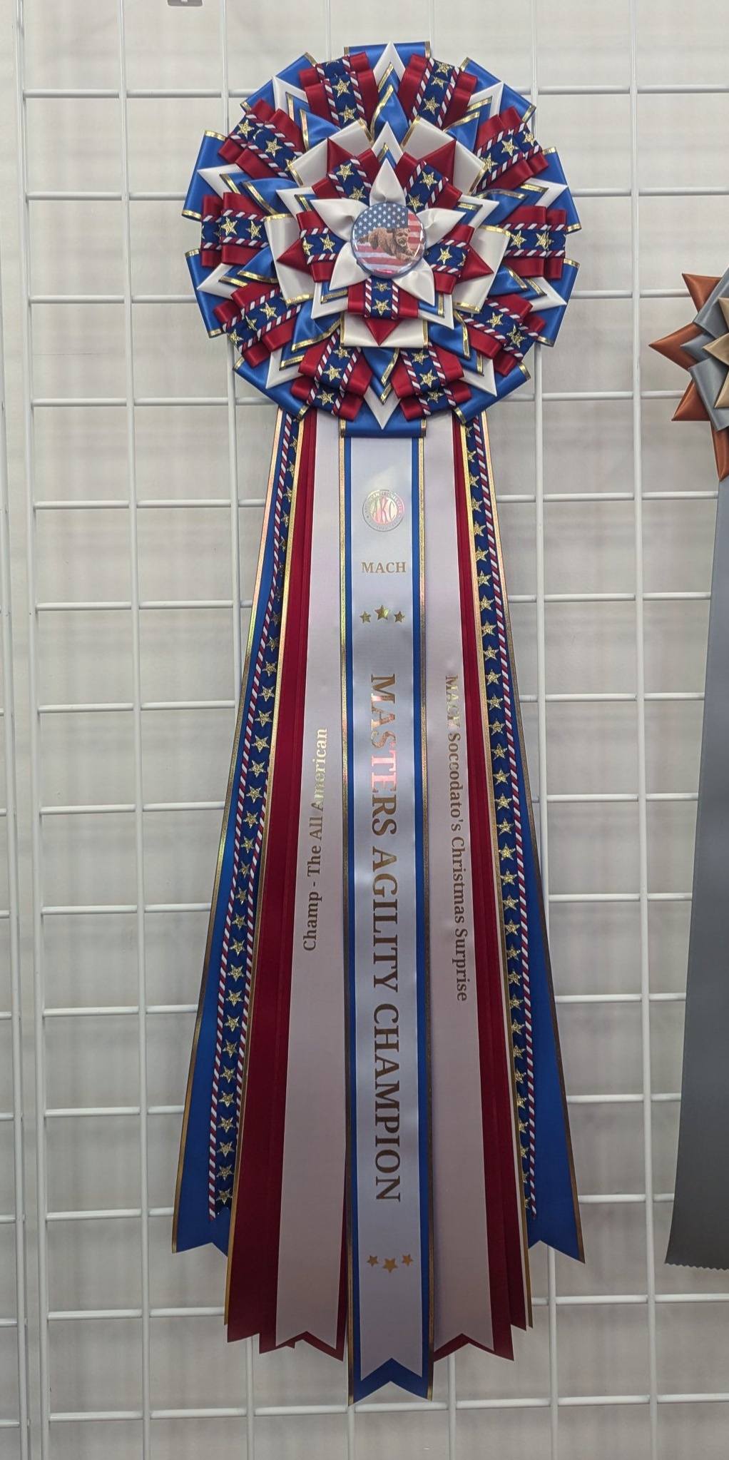 ROSETTE - "Felix" - Studio Finished Rosette - 12" x 36"