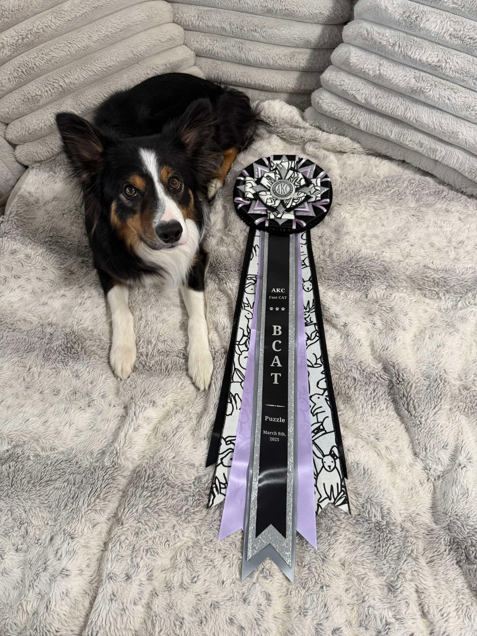 ROSETTE - "Cricket" - Studio Finished Rosette -  9" × 28"