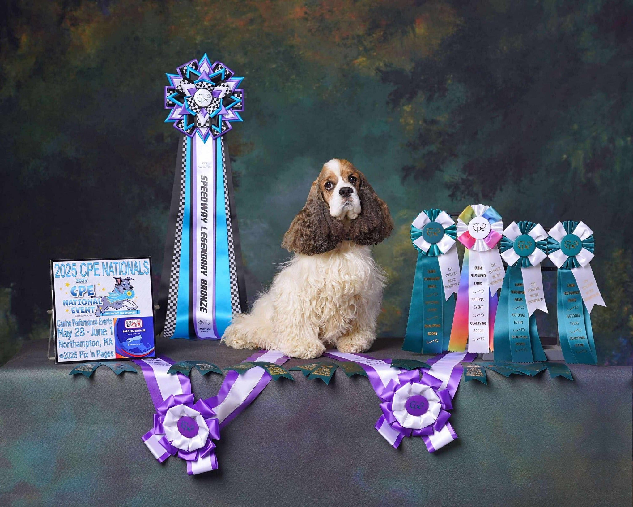 ROSETTE - "Harlow" - Studio Finished Rosette - 9" x 28"