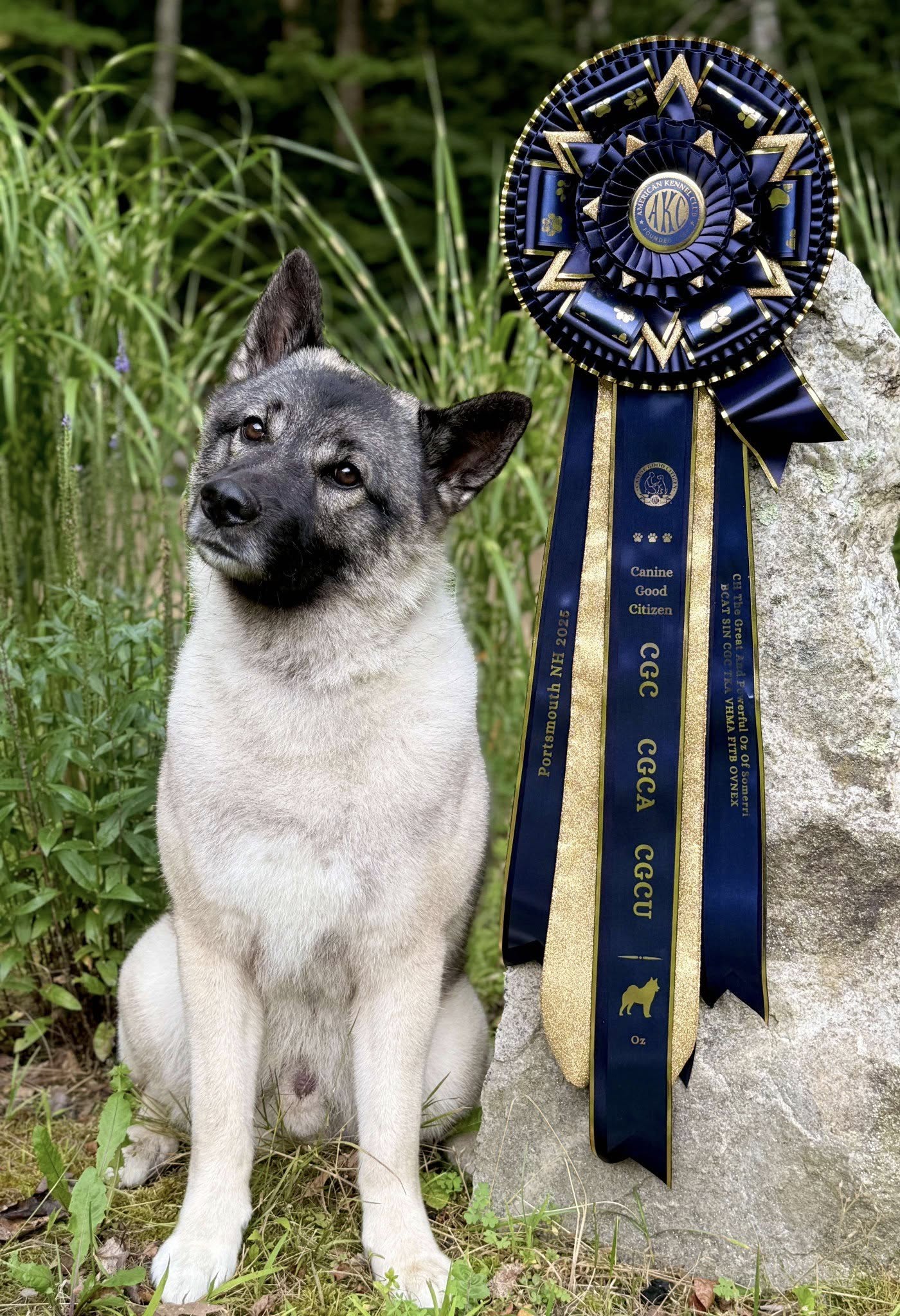 ROSETTE - "Calvin" - Studio Finished Rosette - 10" x 30"