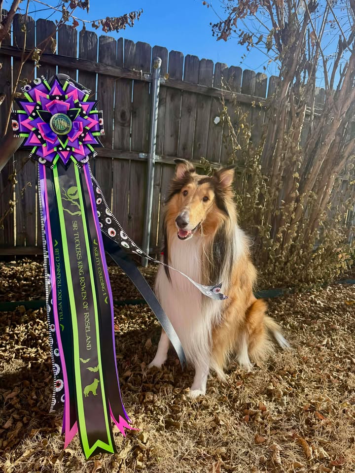 ROSETTE - "Emmy" - Completed Rosette - 9.5" x 30"