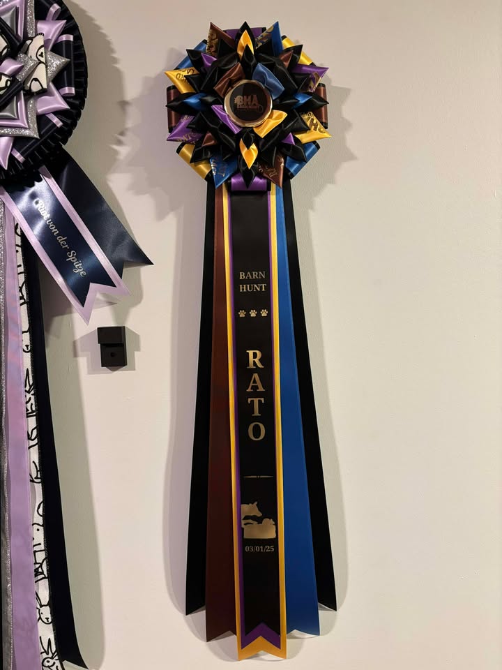 Custom Award Rosette Deposit - UPCYCLING - READ ENTIRE DESCRIPTION