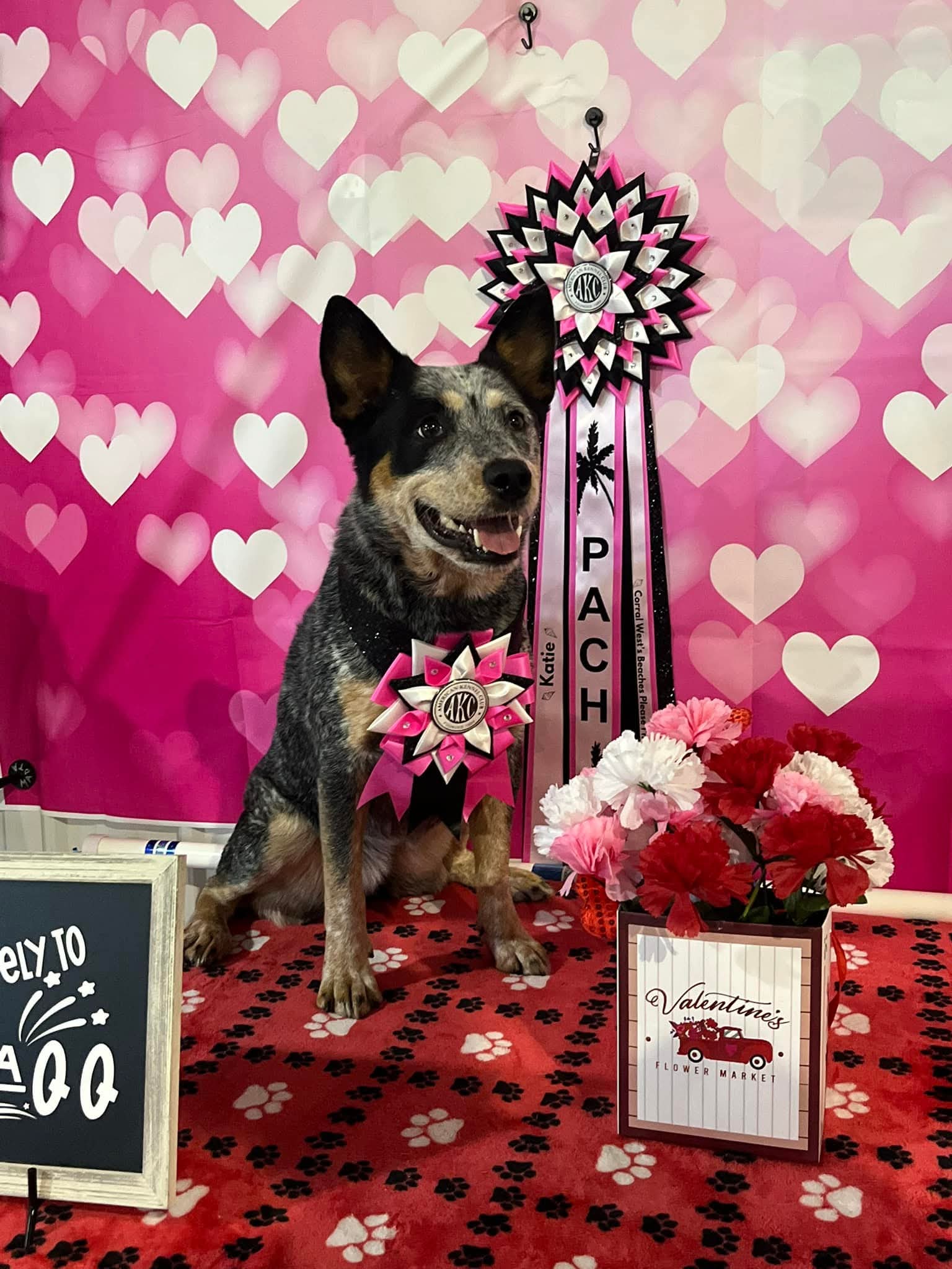 ROSETTE - "Louise" - Studio Finished Rosette - 6.5"